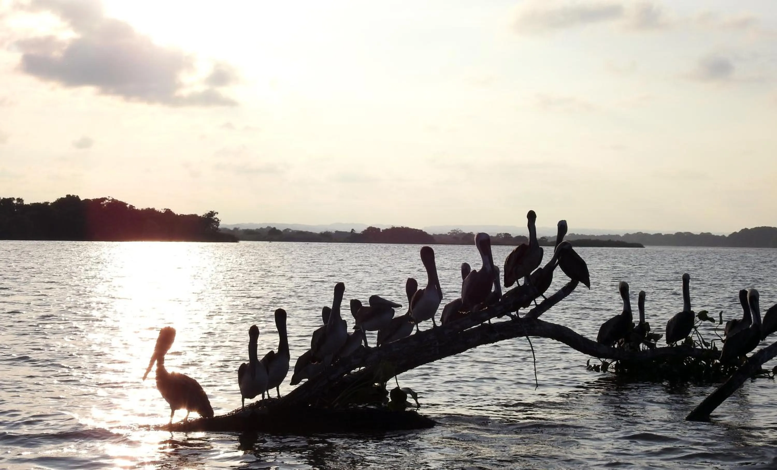 Don Luis Hostal - Sucursal Hidalgo - Tecolutla