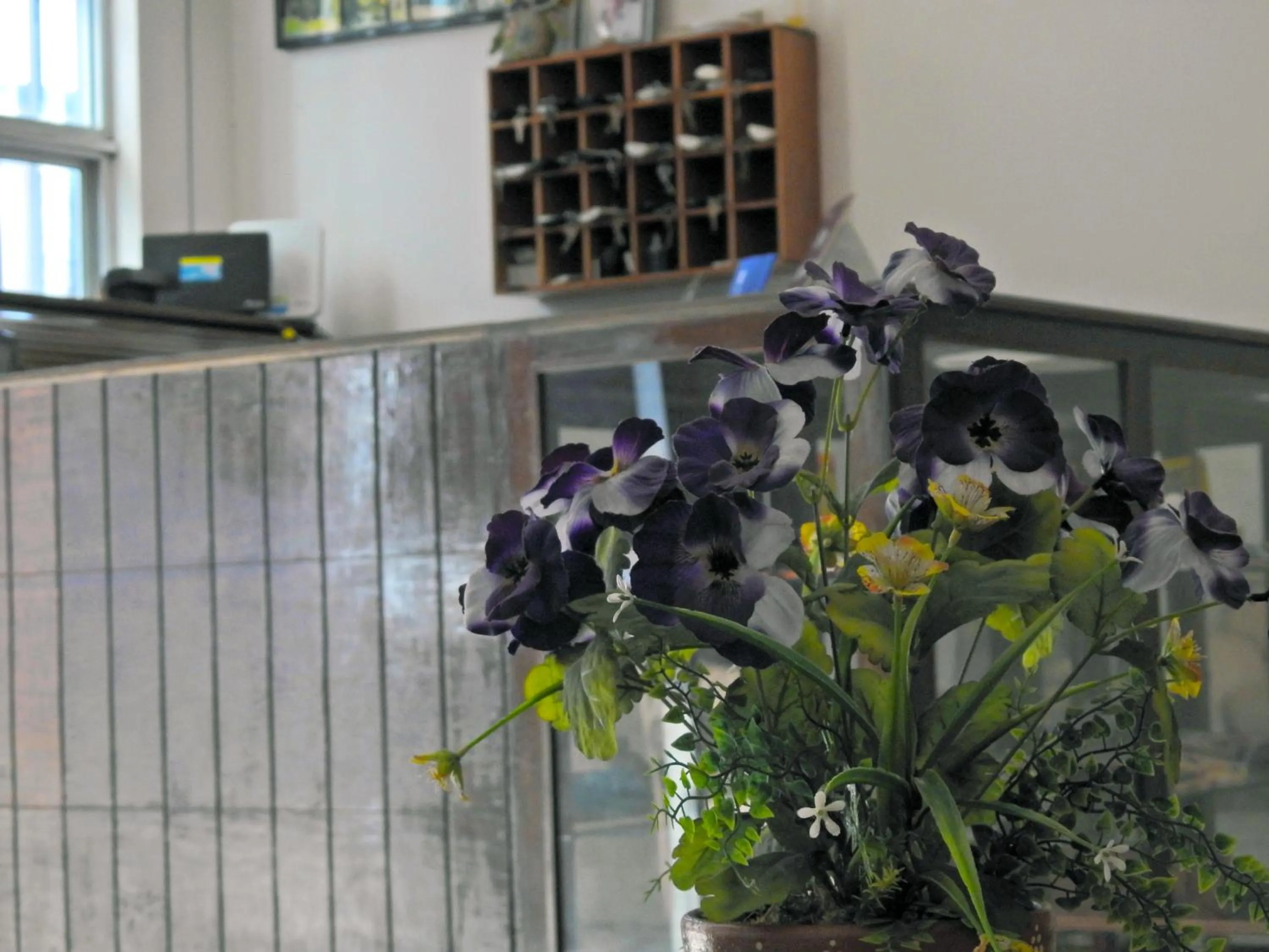 Don Luis Hostal - Sucursal Hidalgo - Tecolutla