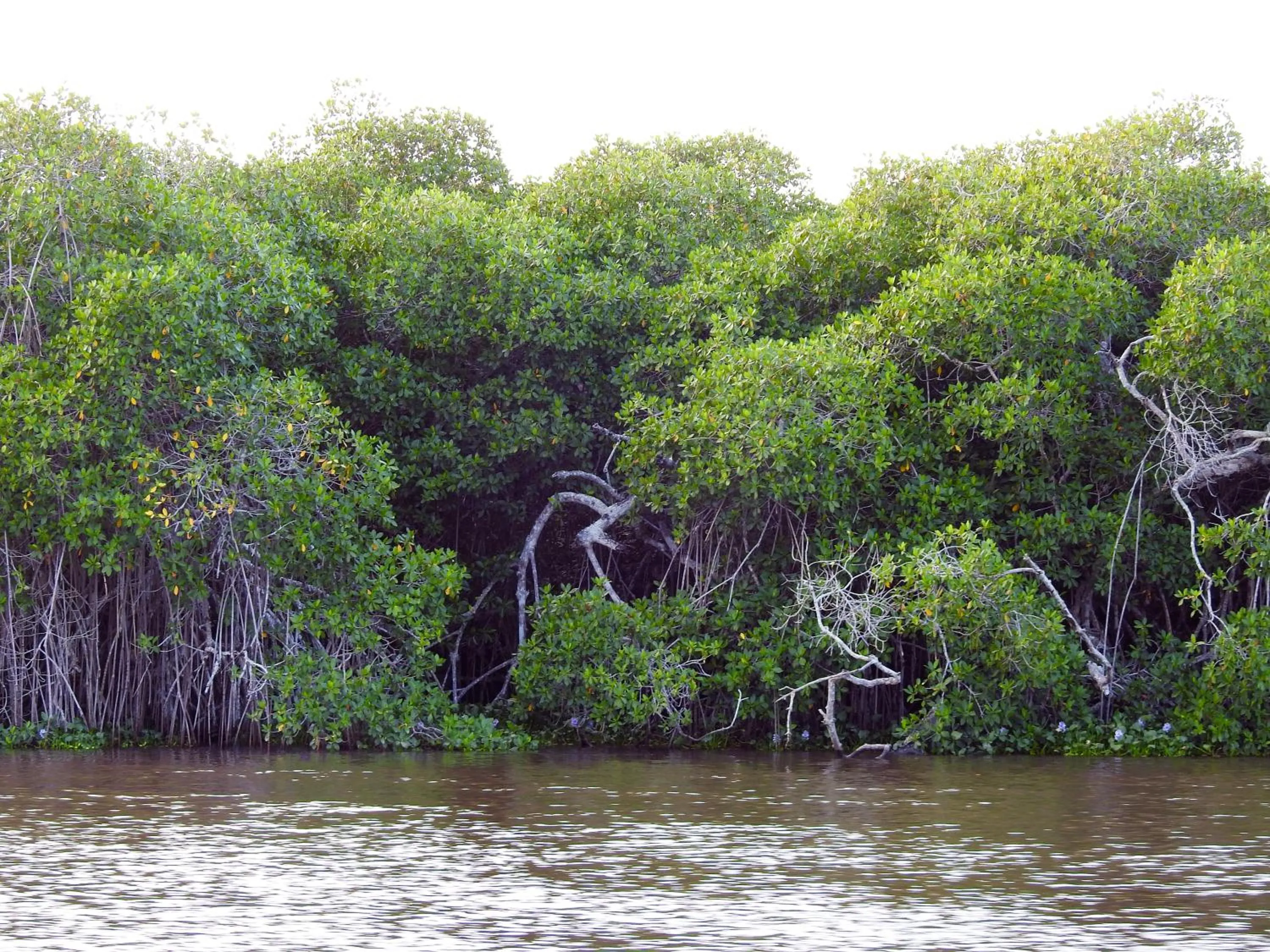Don Luis Hostal - Sucursal Hidalgo - Tecolutla
