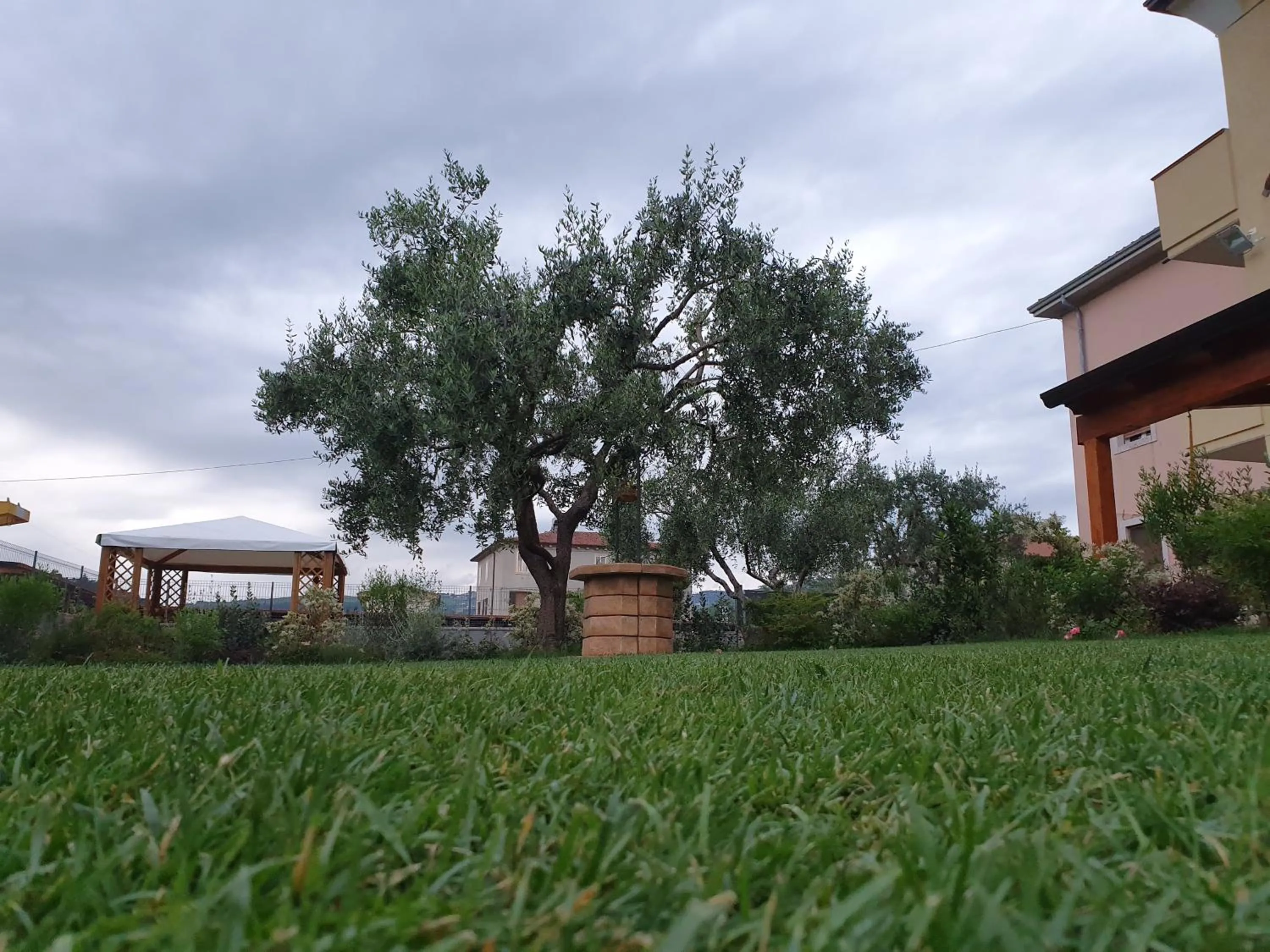 Garden in BB IL CIPPO