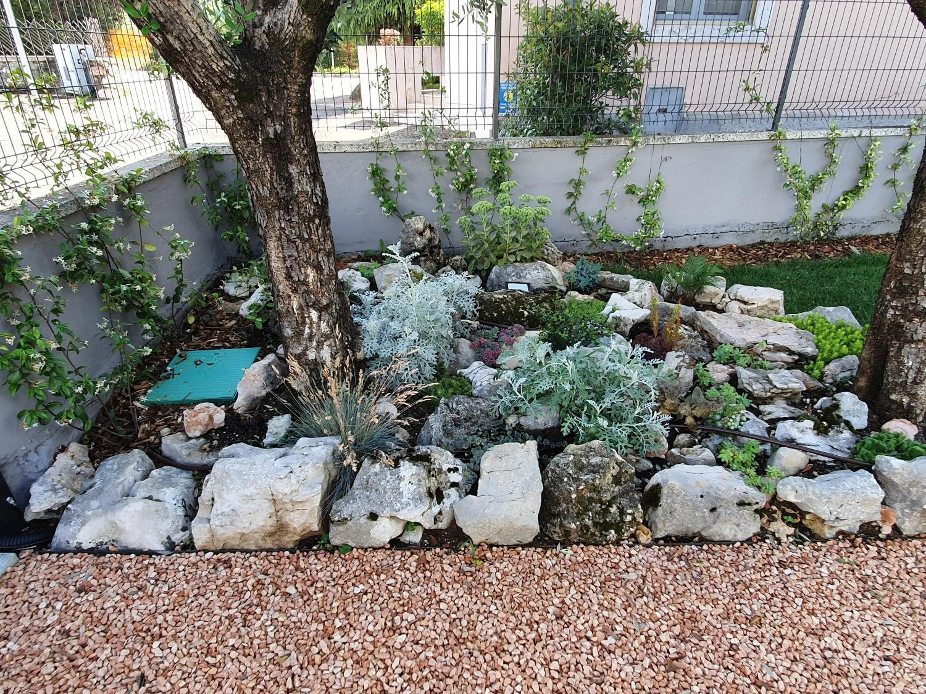 Garden in BB IL CIPPO