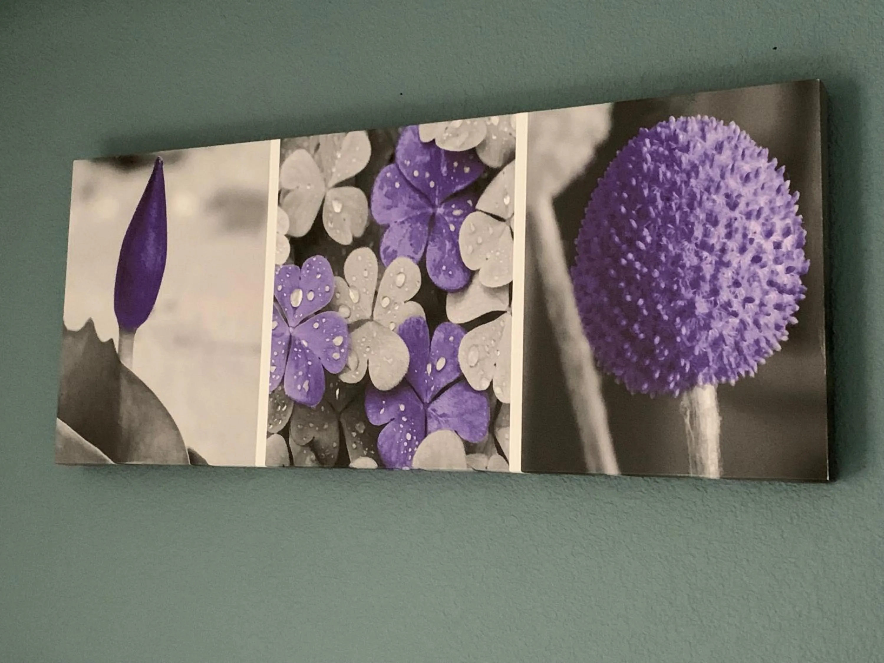 Guests in Sleep Inn & Suites California MD