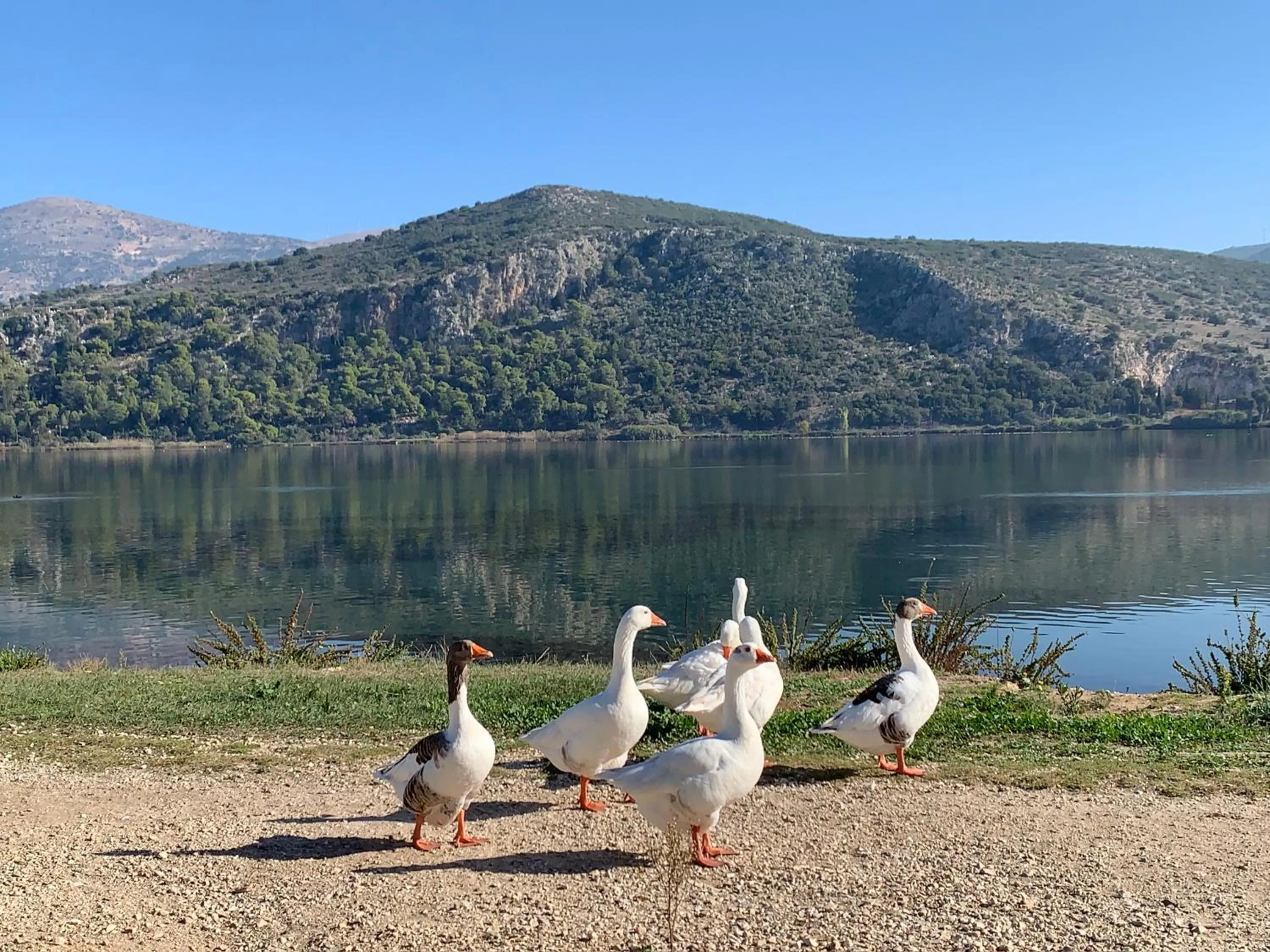 Nearby landmark in Rouchotas Apartments