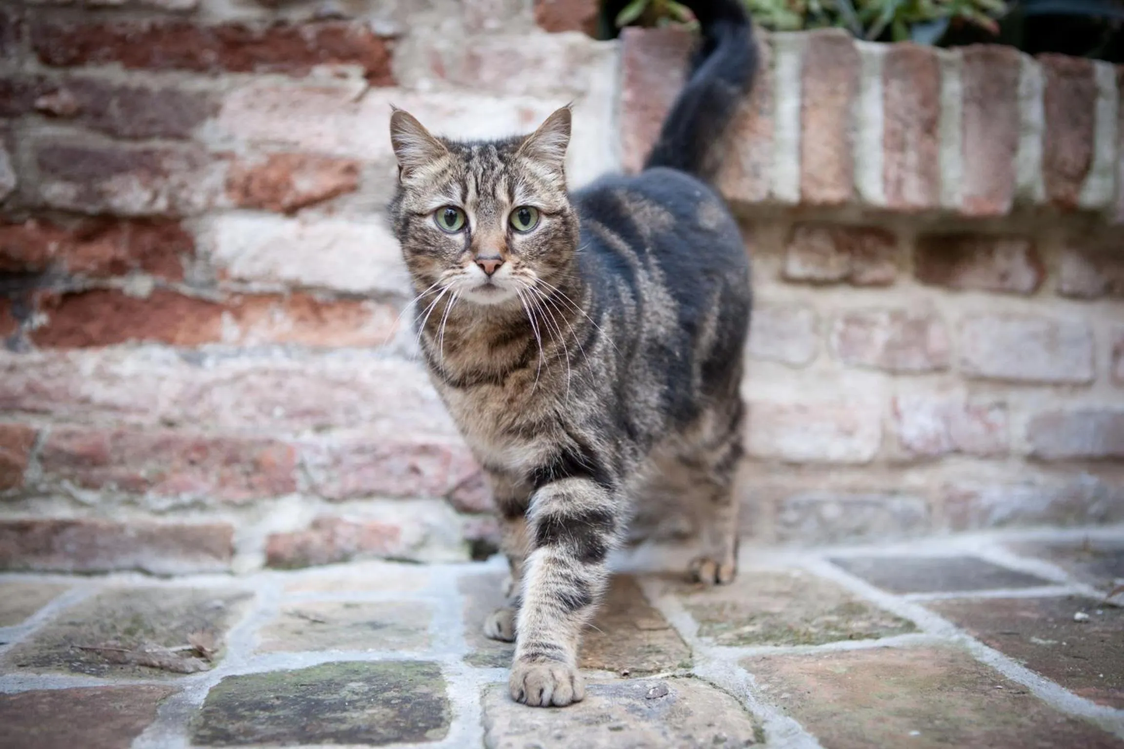 Staff in Relais B&B Corte Dei Turchi