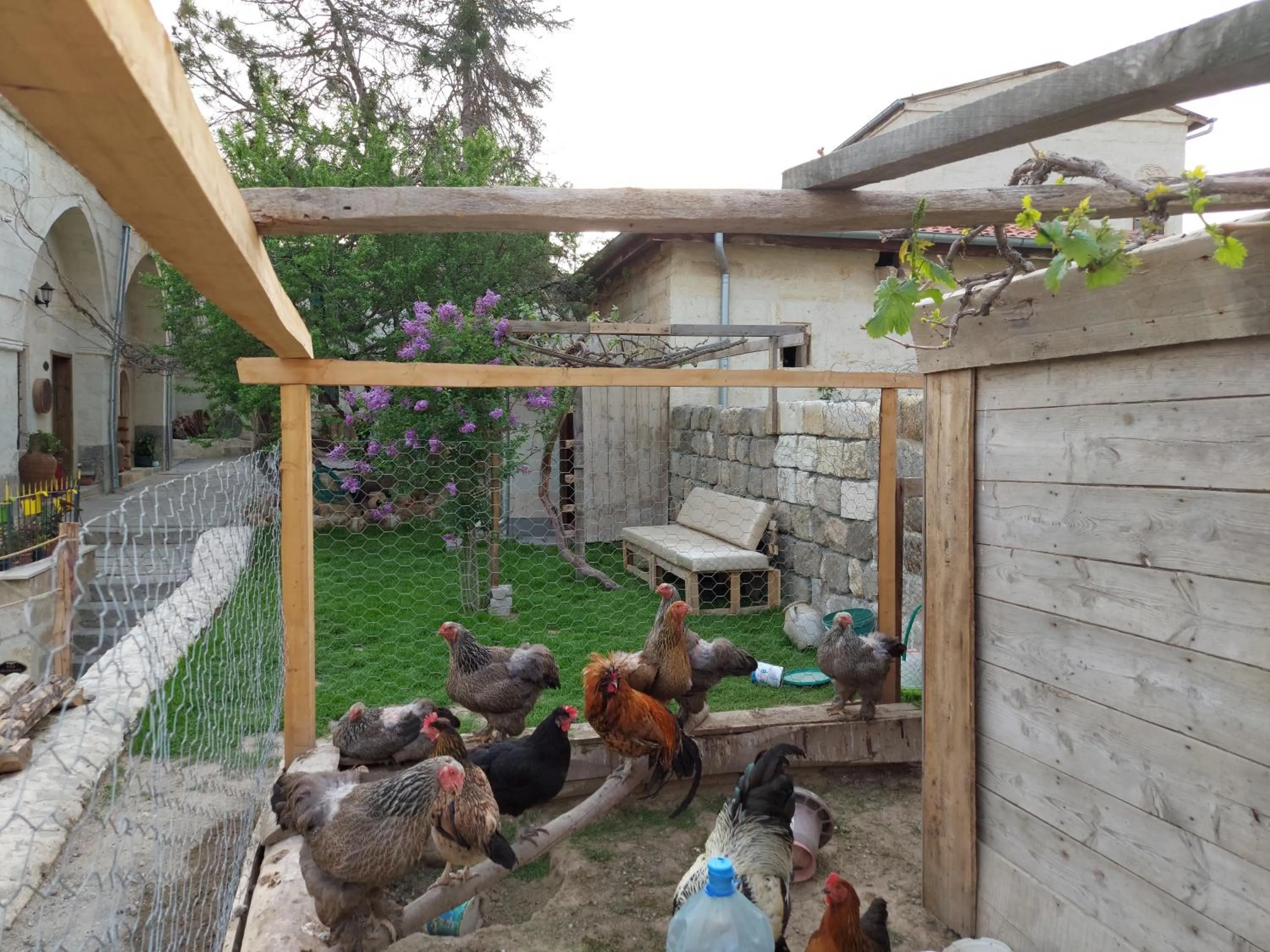 Natural landscape in ARMEsos Cave Hotel