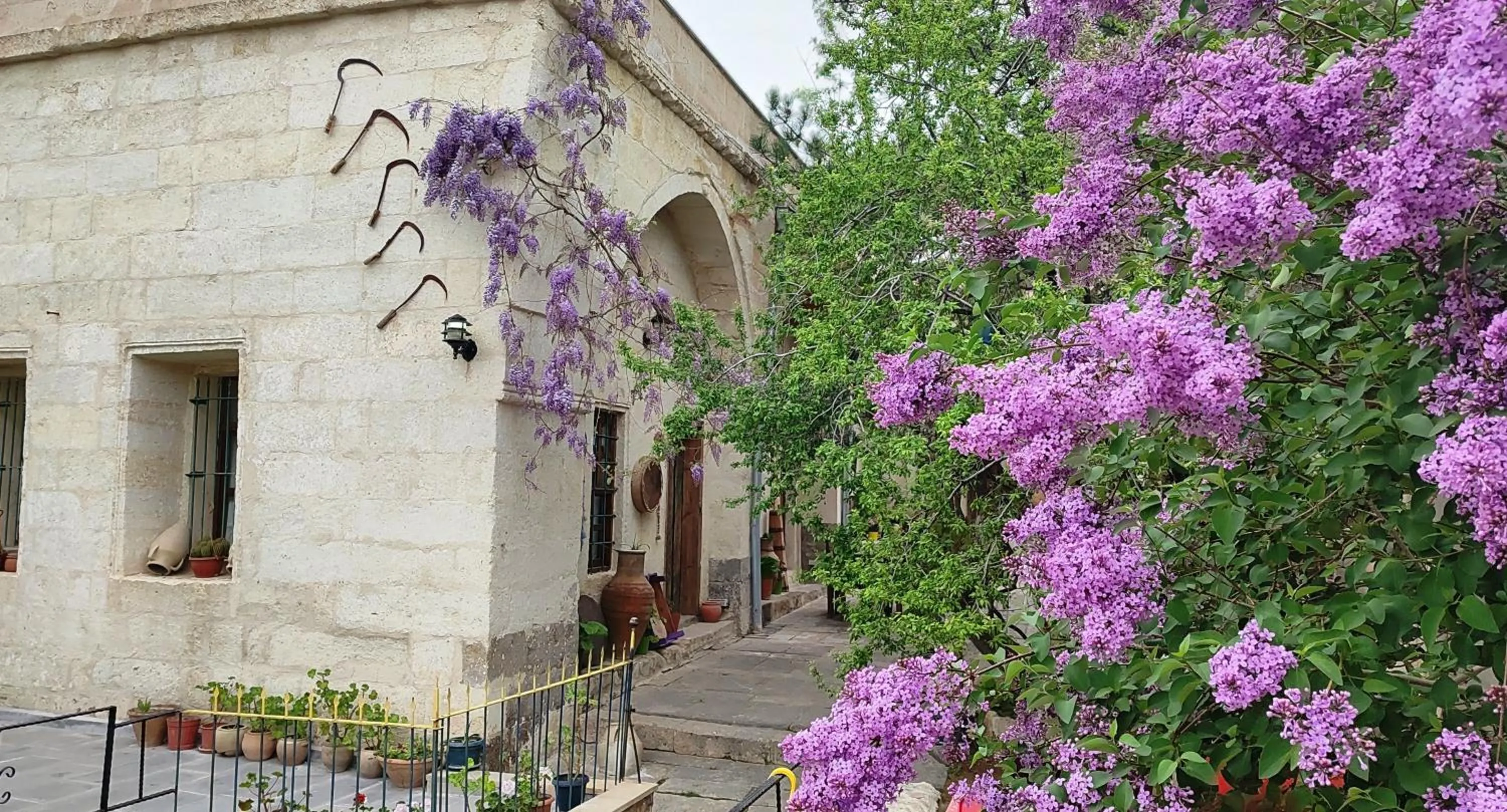 Garden view in ARMEsos Cave Hotel