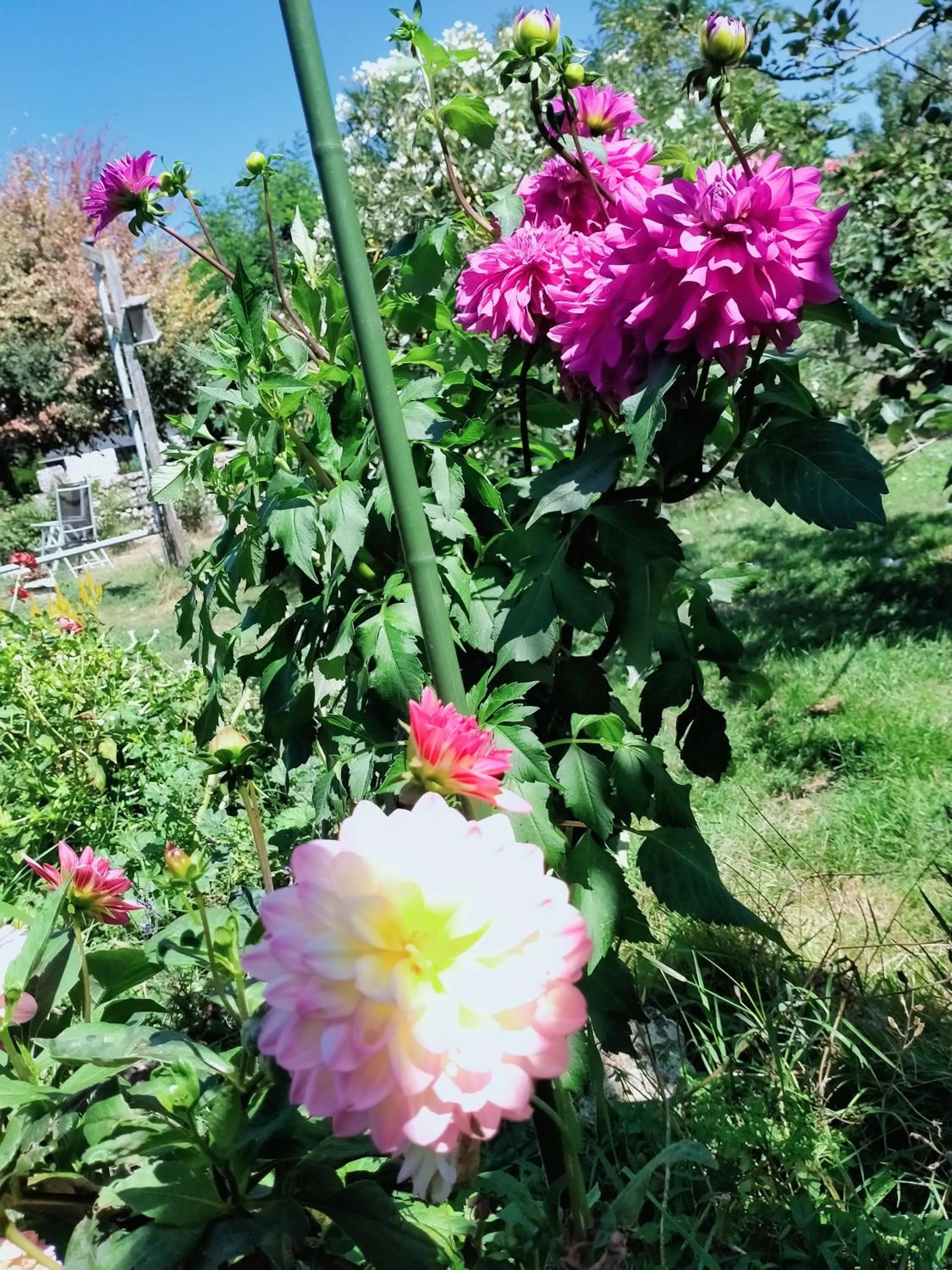 Garden in La Cadournaise