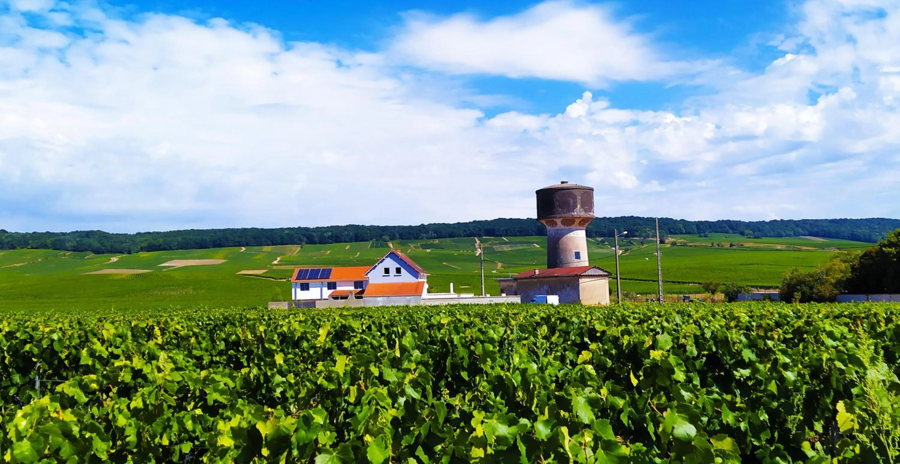 Au Bouchon Champenois
