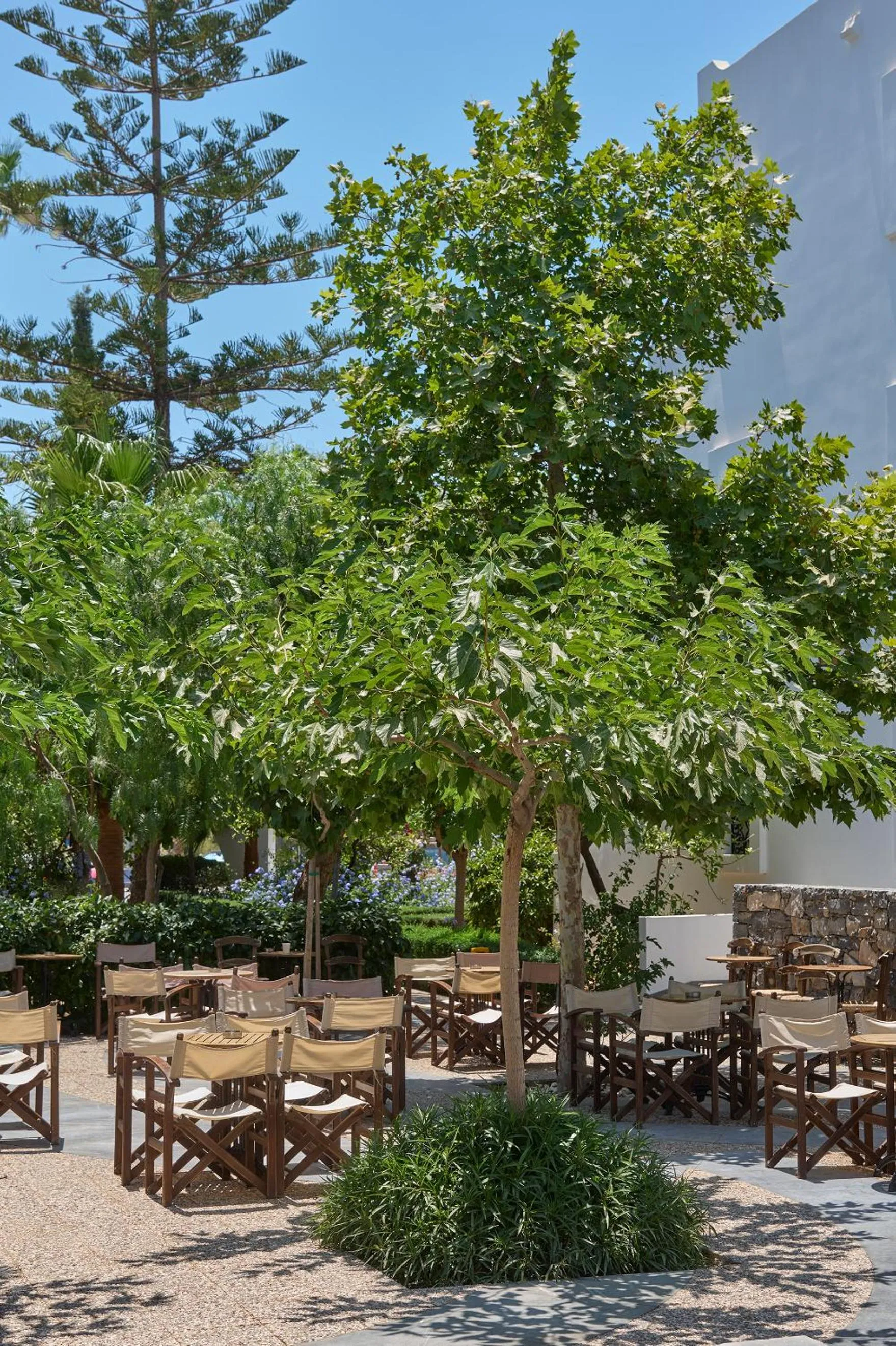 Restaurant/places to eat in Atlantica Akti Zeus Hotel