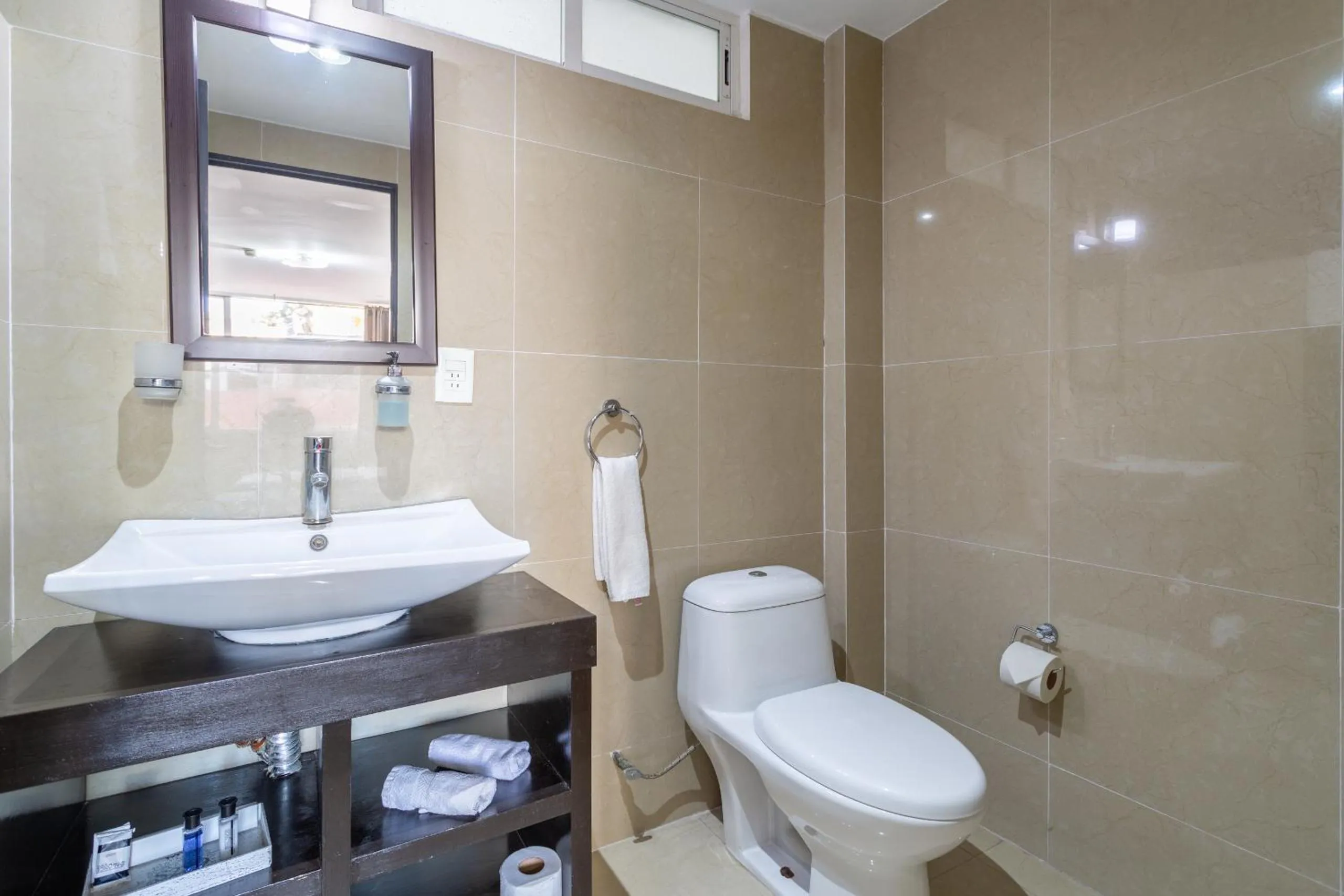 Shower in Suites 259 Condesa