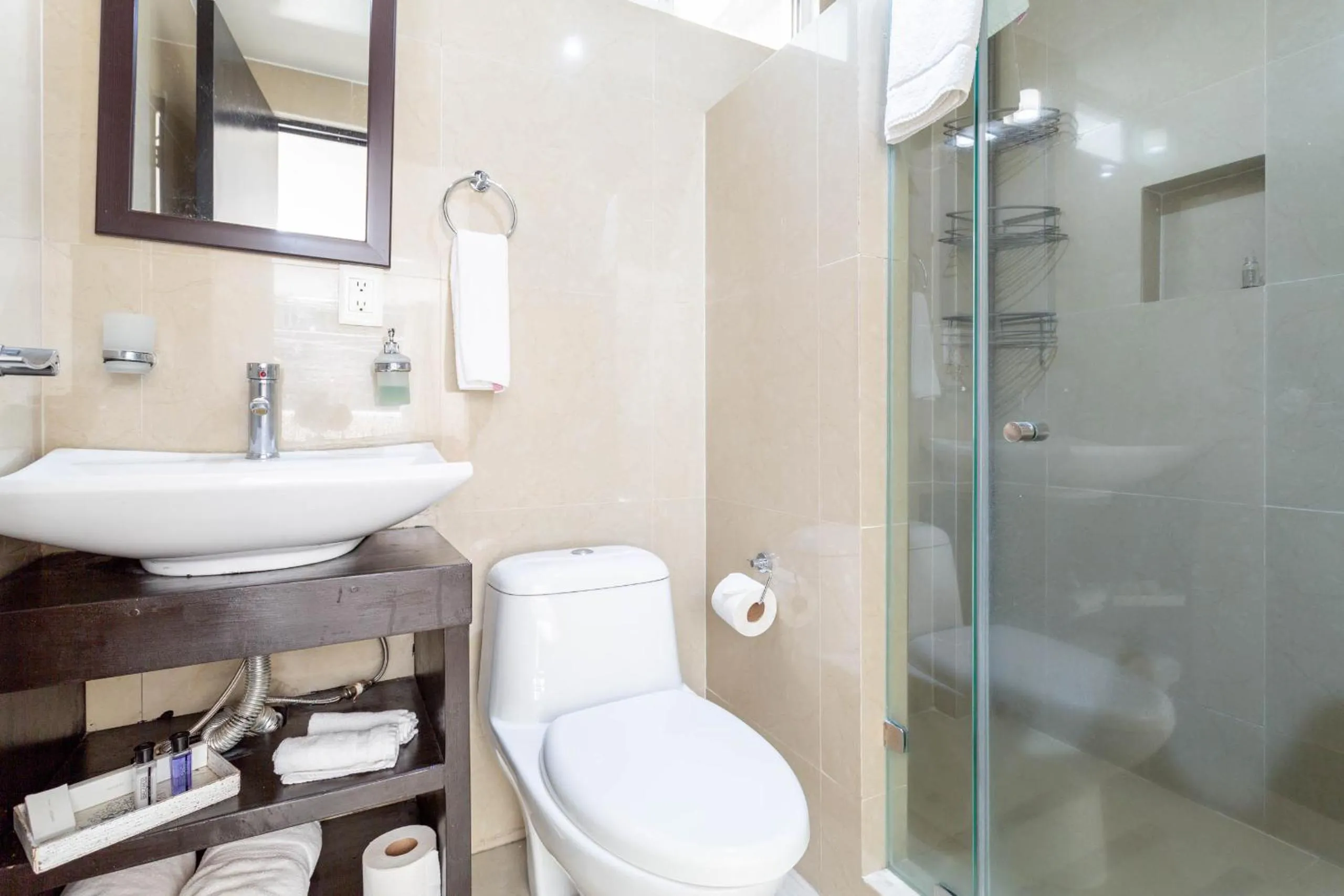 Shower in Suites 259 Condesa