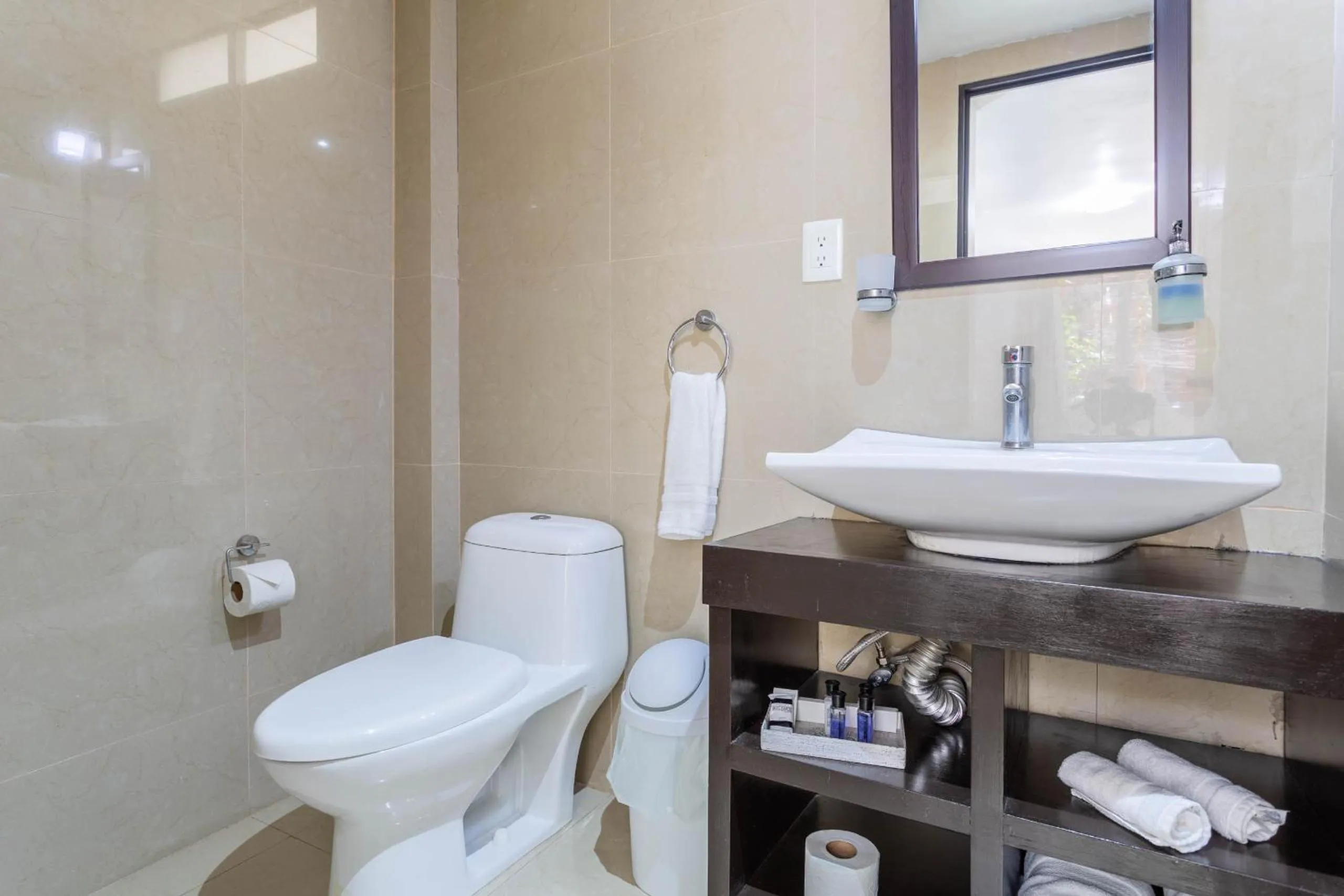 Shower in Suites 259 Condesa