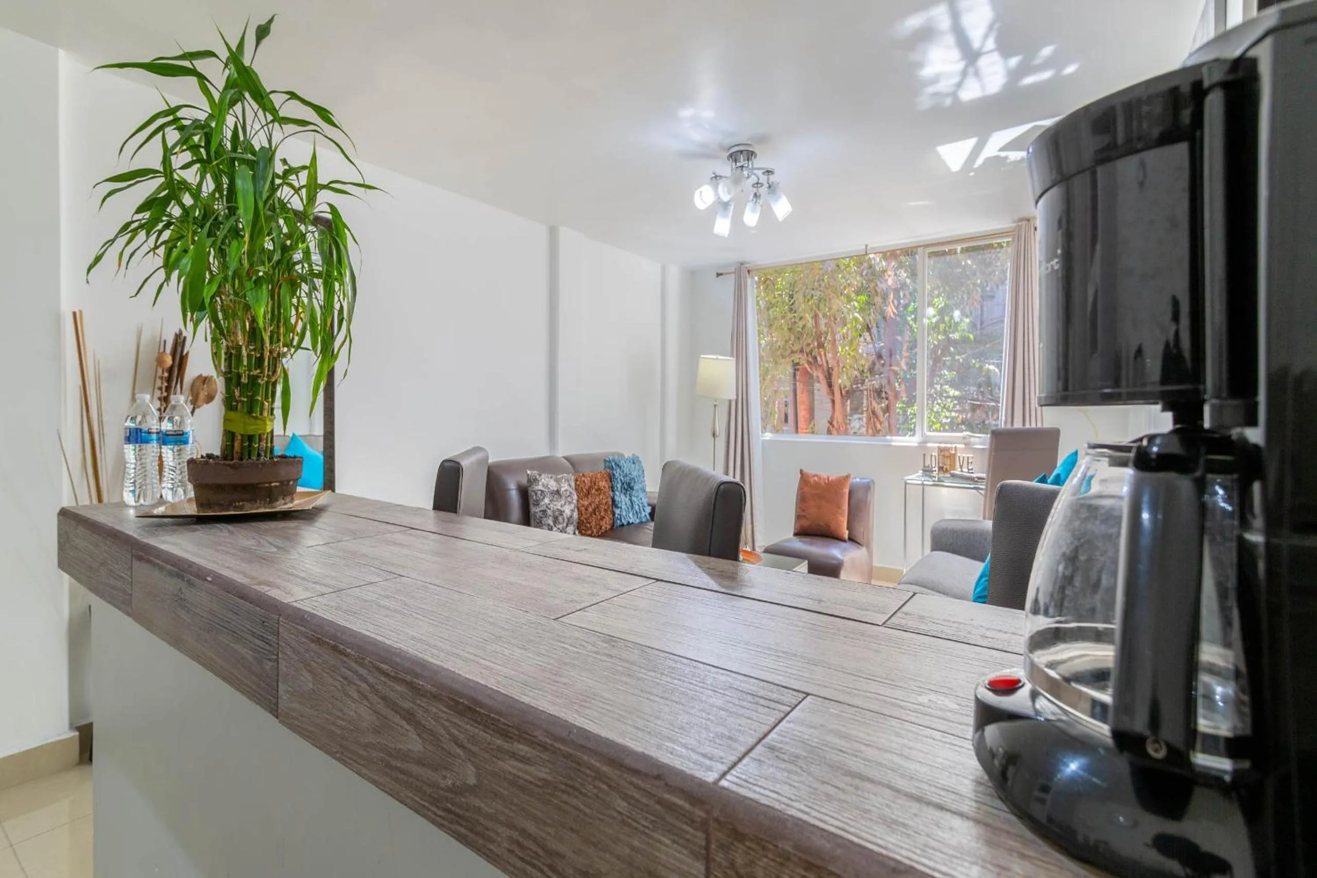 Coffee/tea facilities in Suites 259 Condesa