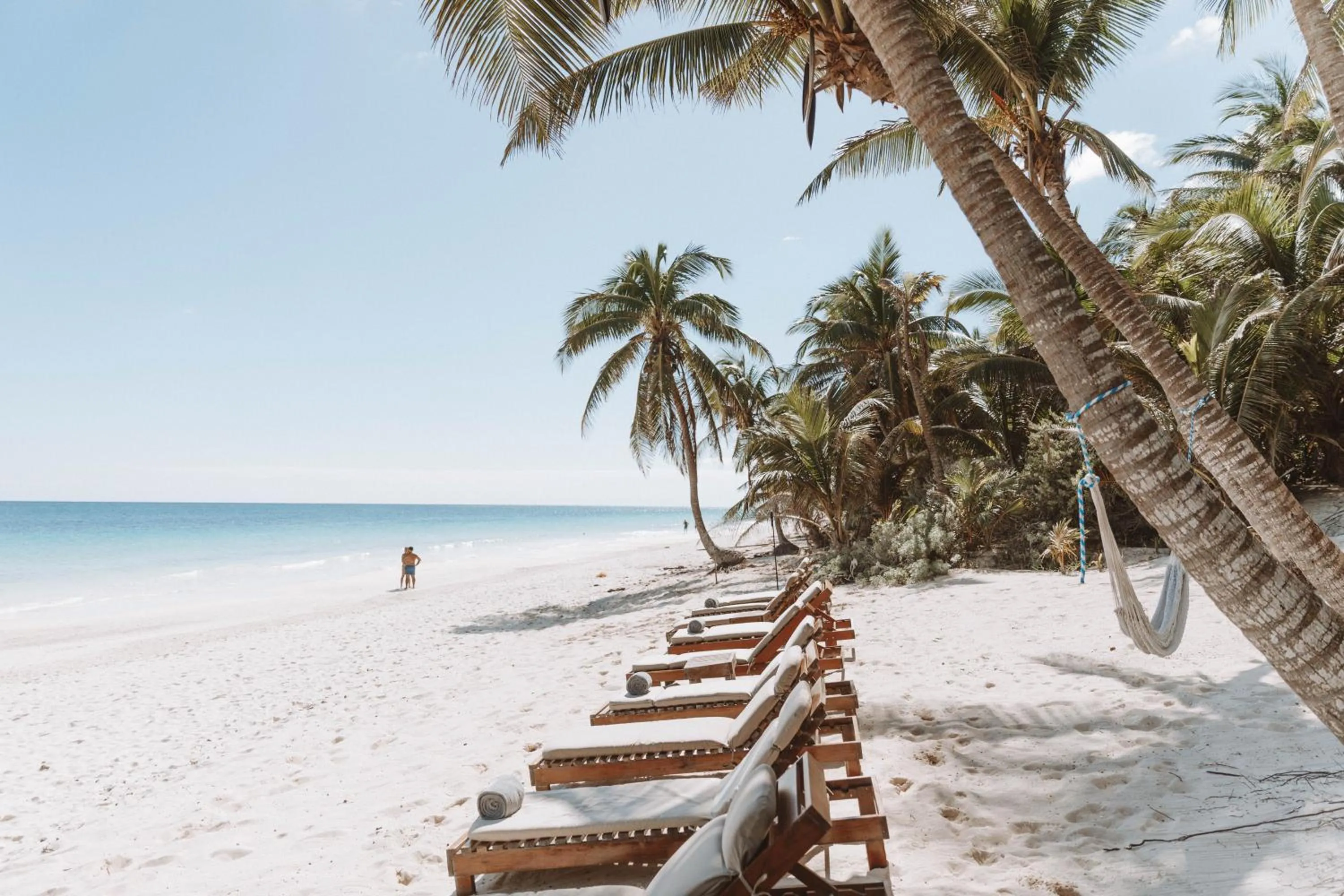 Natural landscape in Casa Zaba