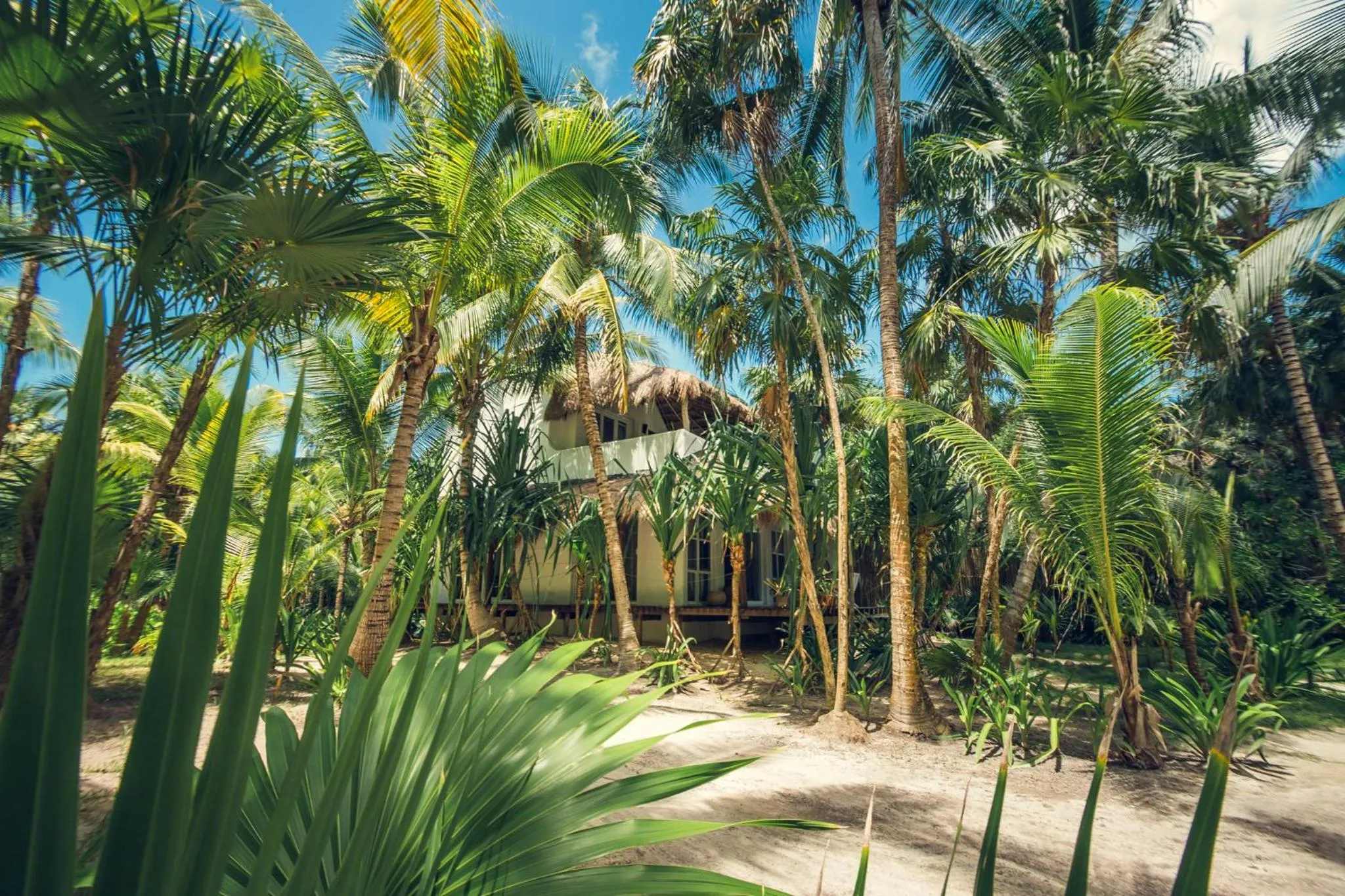 Natural landscape in Casa Zaba