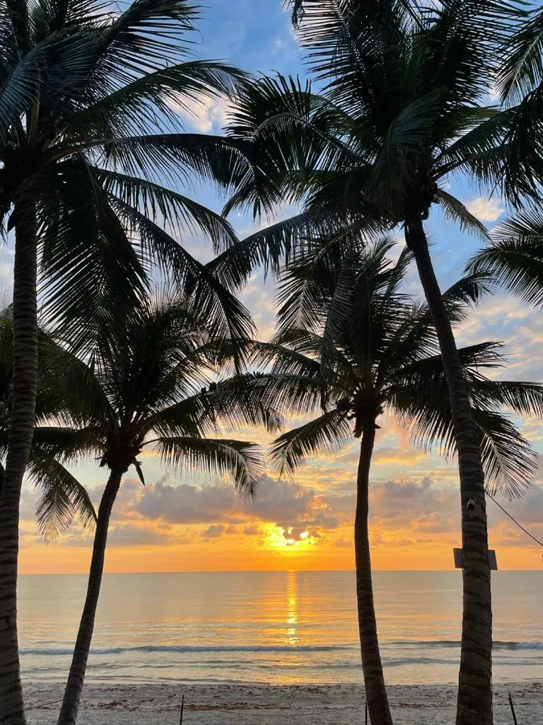 Natural landscape in Casa Zaba