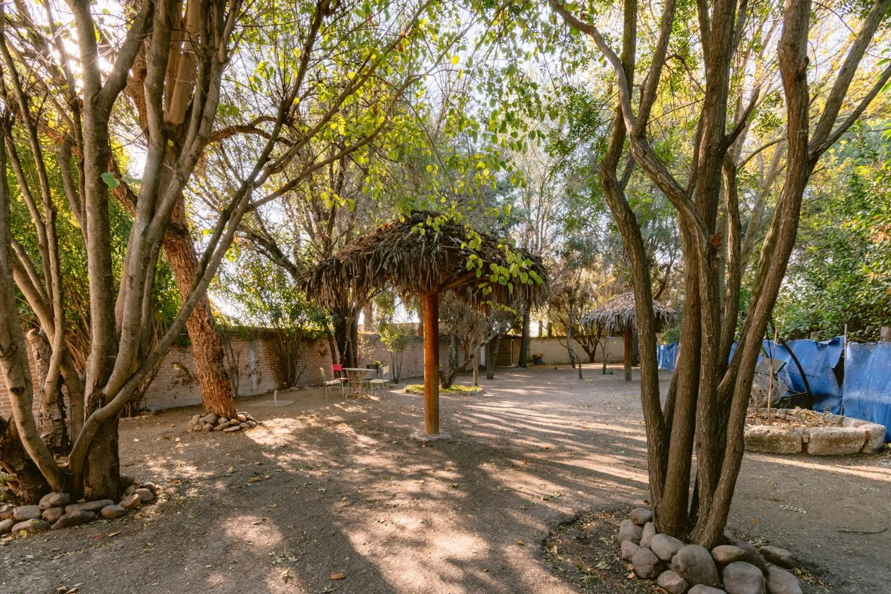Garden in Atotonilco Hotel & Club