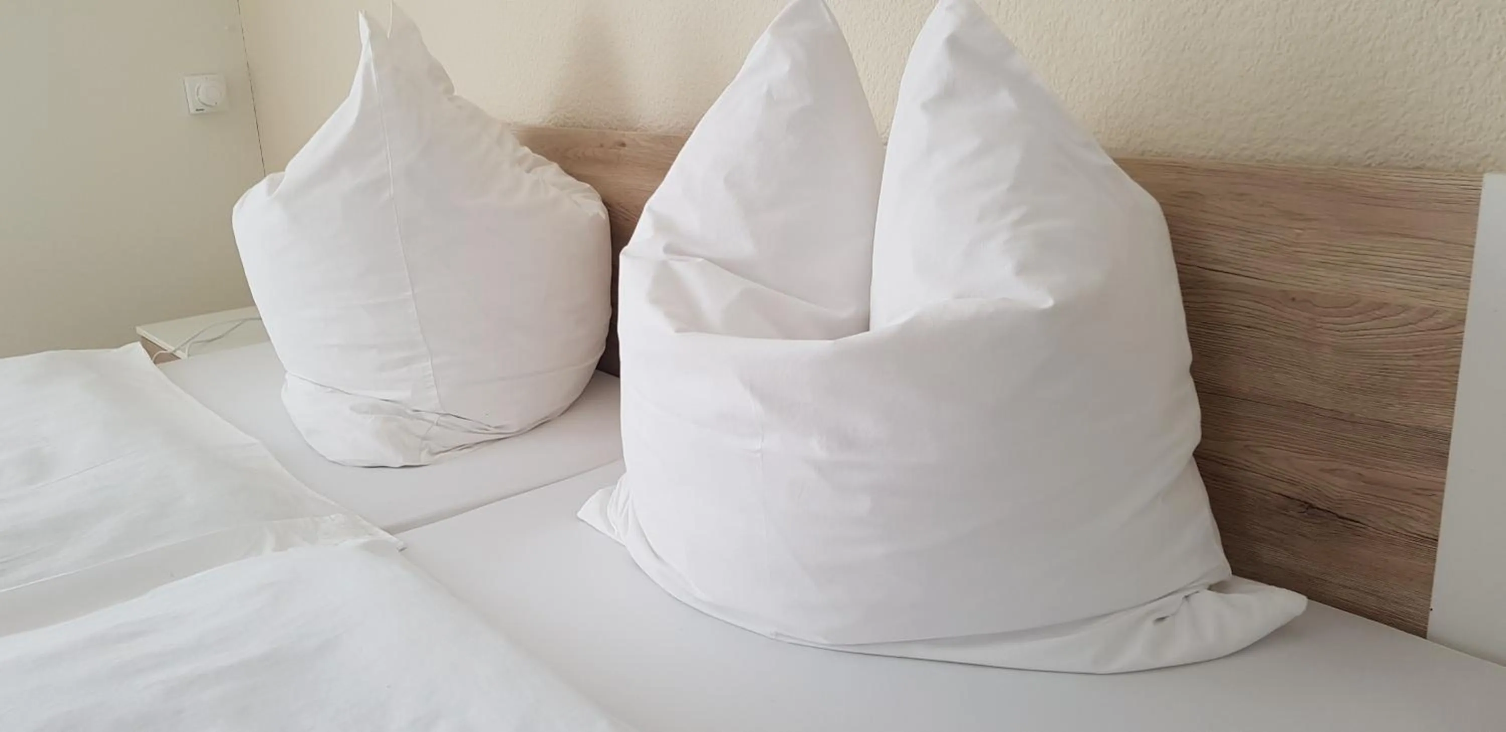 Photo of the whole room, Bed in Hotel Cherusker Hof