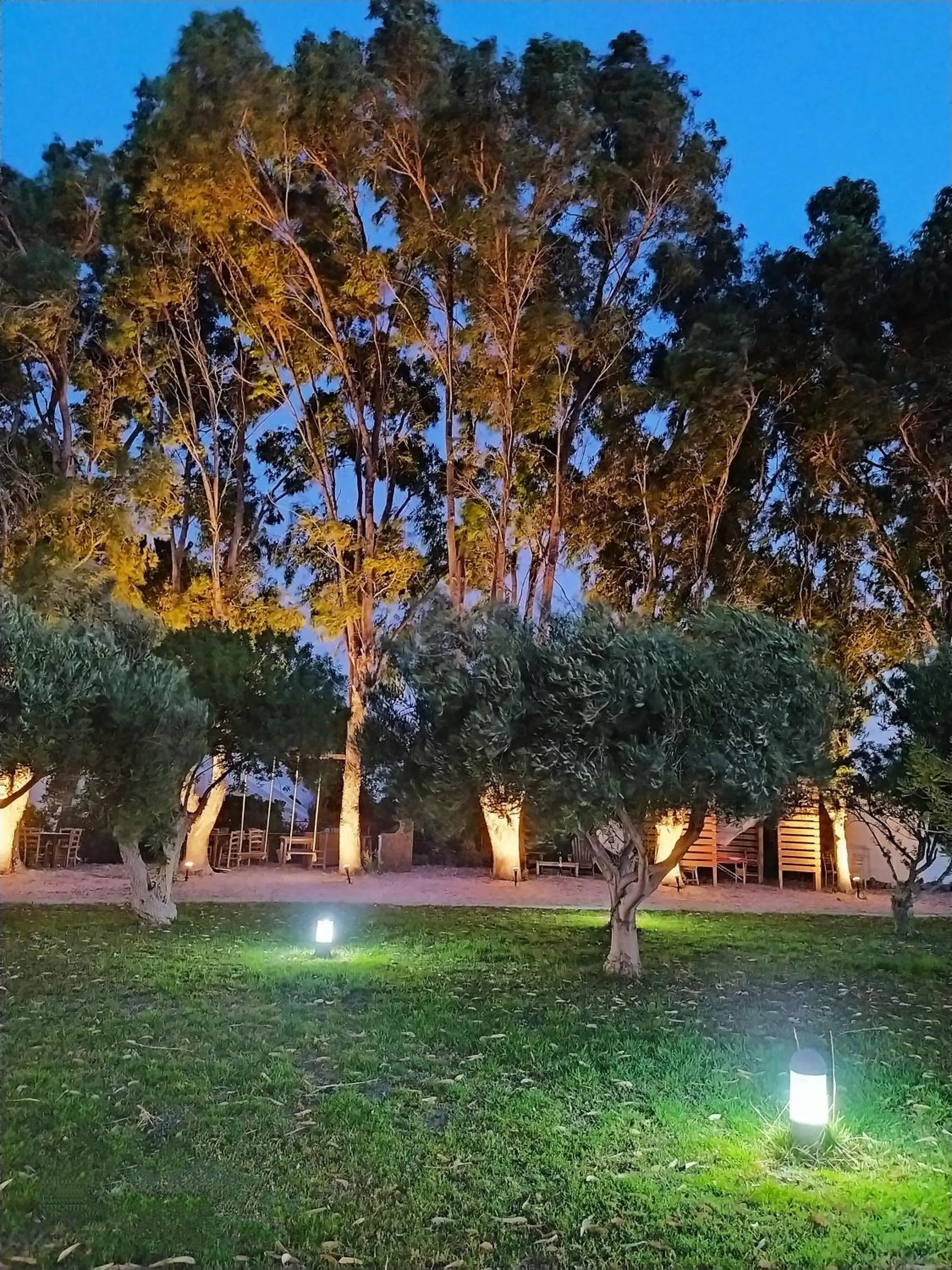 Spring in Eco Beach And Magic Garden Hotel