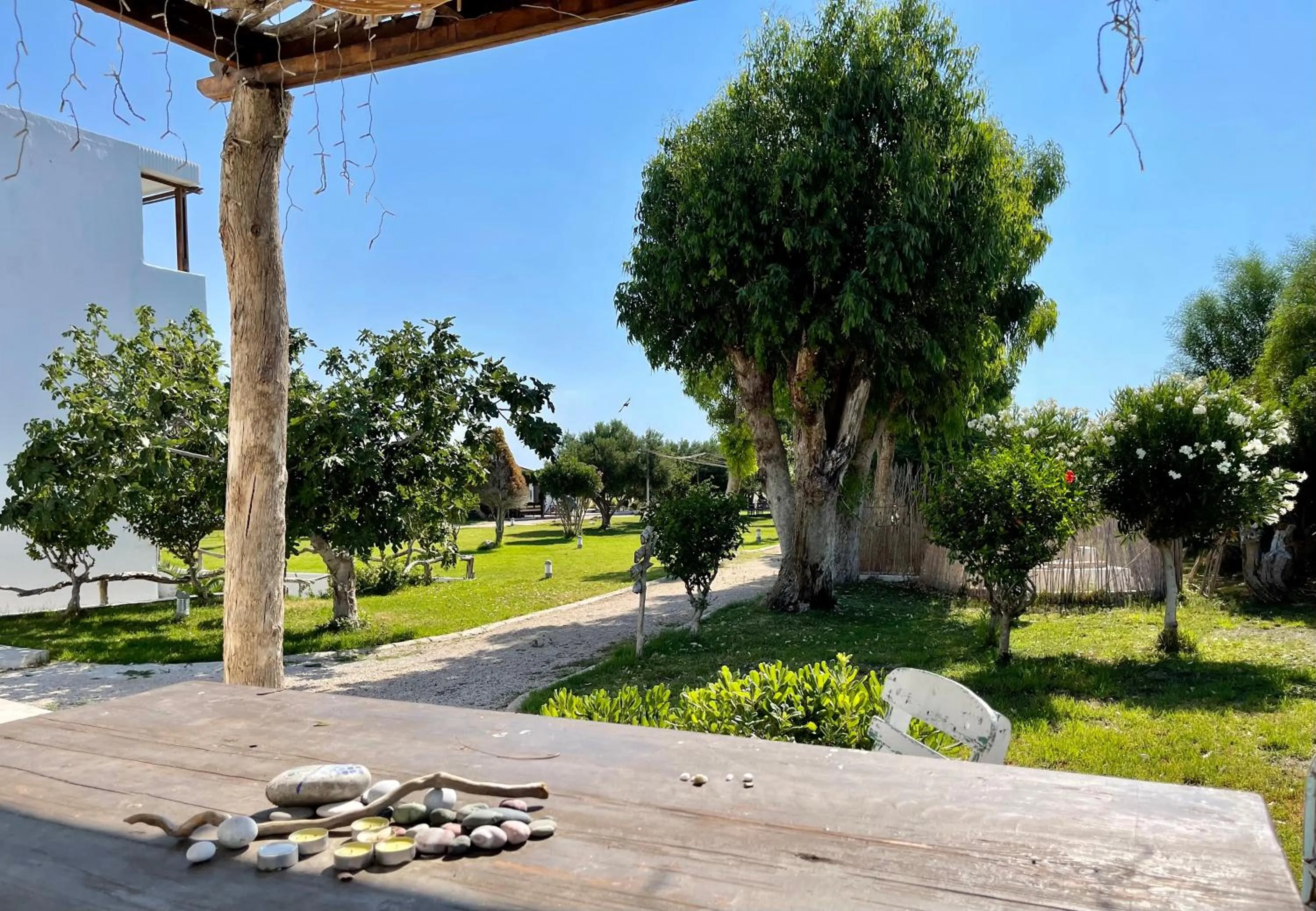 Spring in Eco Beach And Magic Garden Hotel