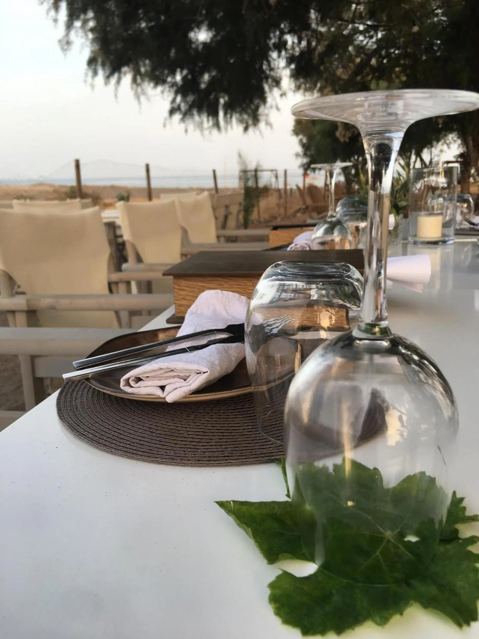 Restaurant/places to eat in Eco Beach And Magic Garden Hotel