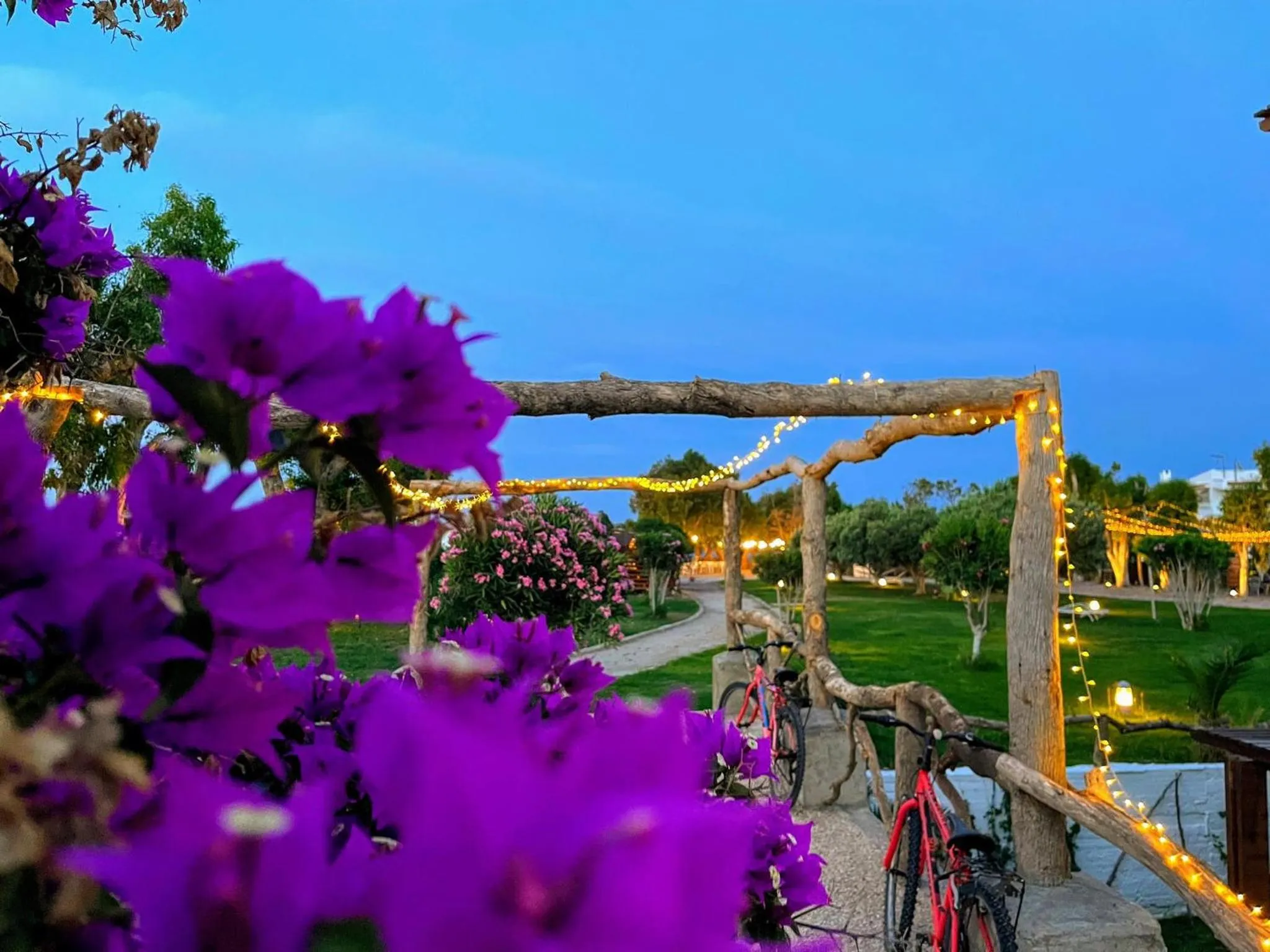 Patio in Eco Beach And Magic Garden Hotel