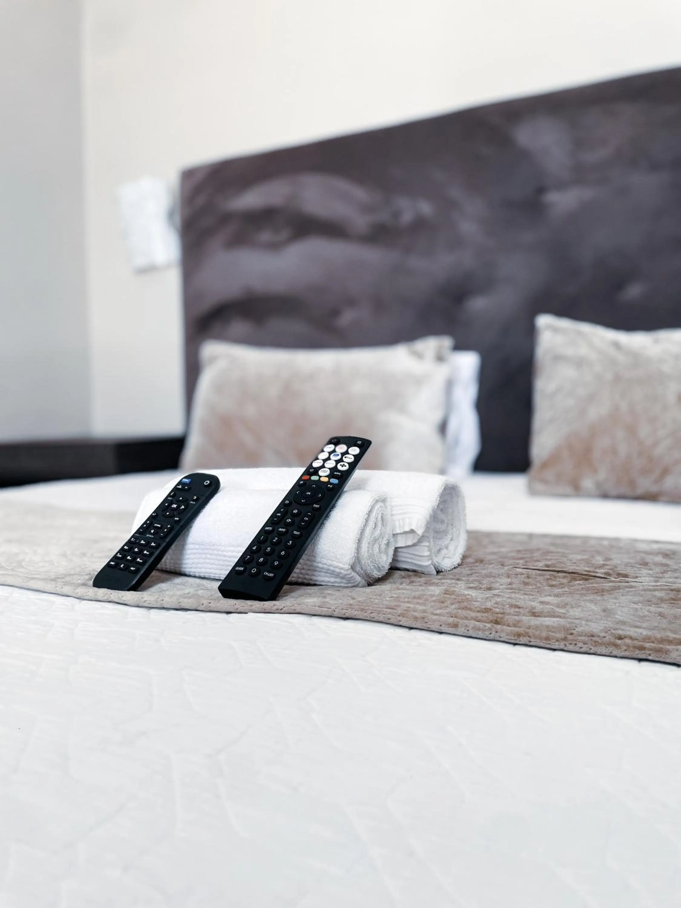 Morning flair Bed and Breakfast