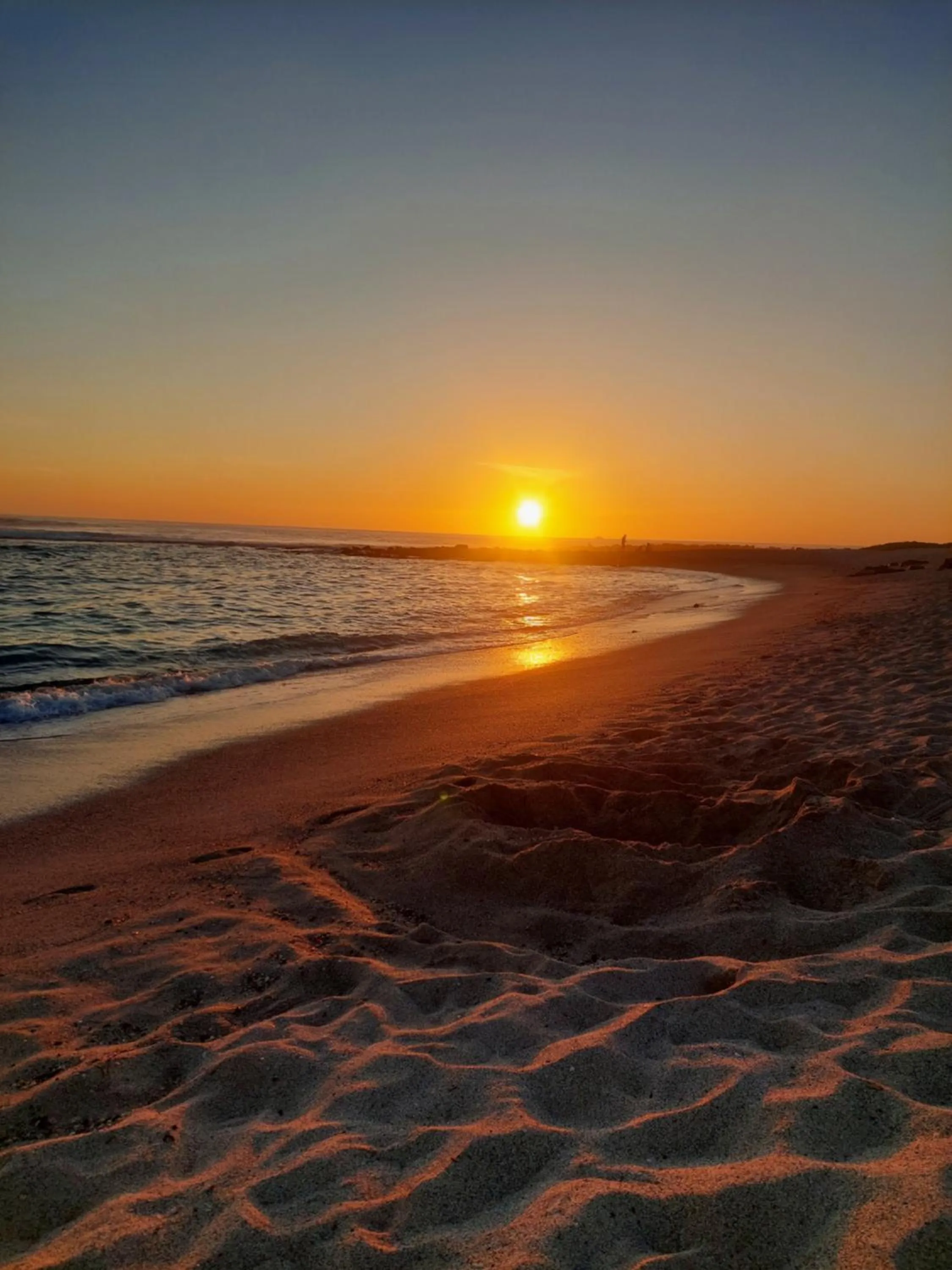 Royal Galápagos Inn