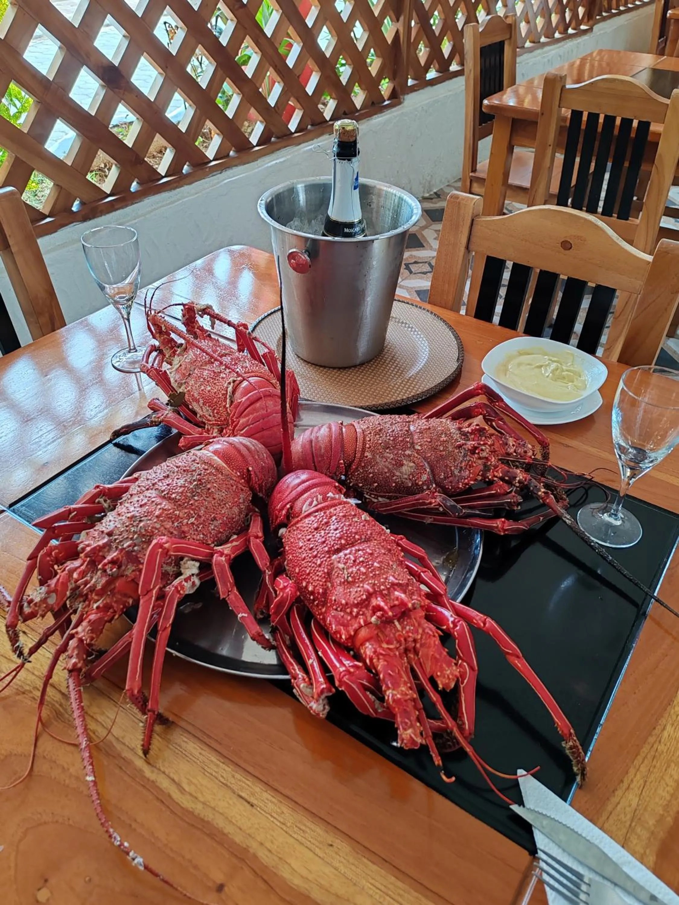 Royal Galápagos Inn