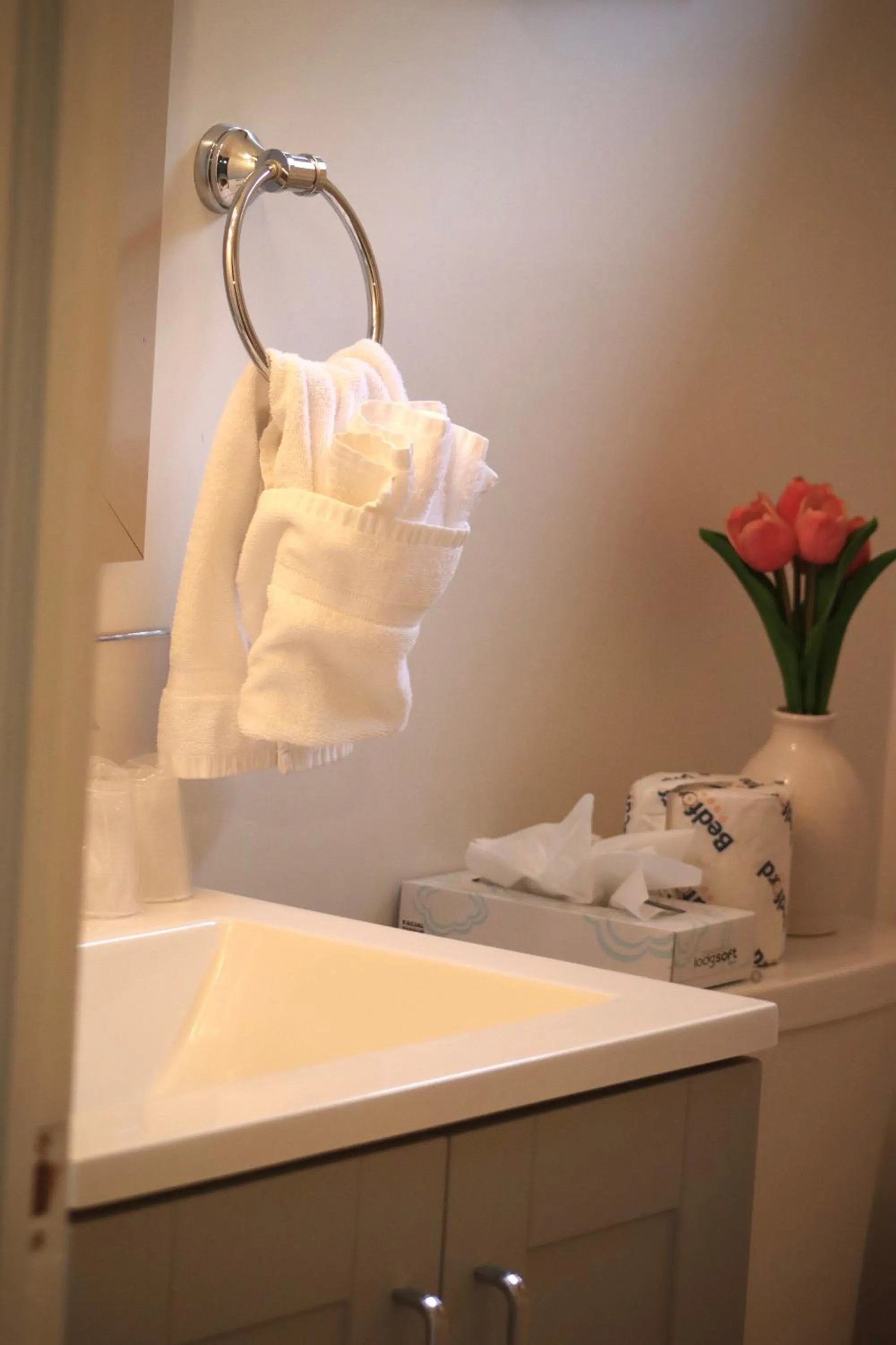 Arcady Mountain Motor Lodge