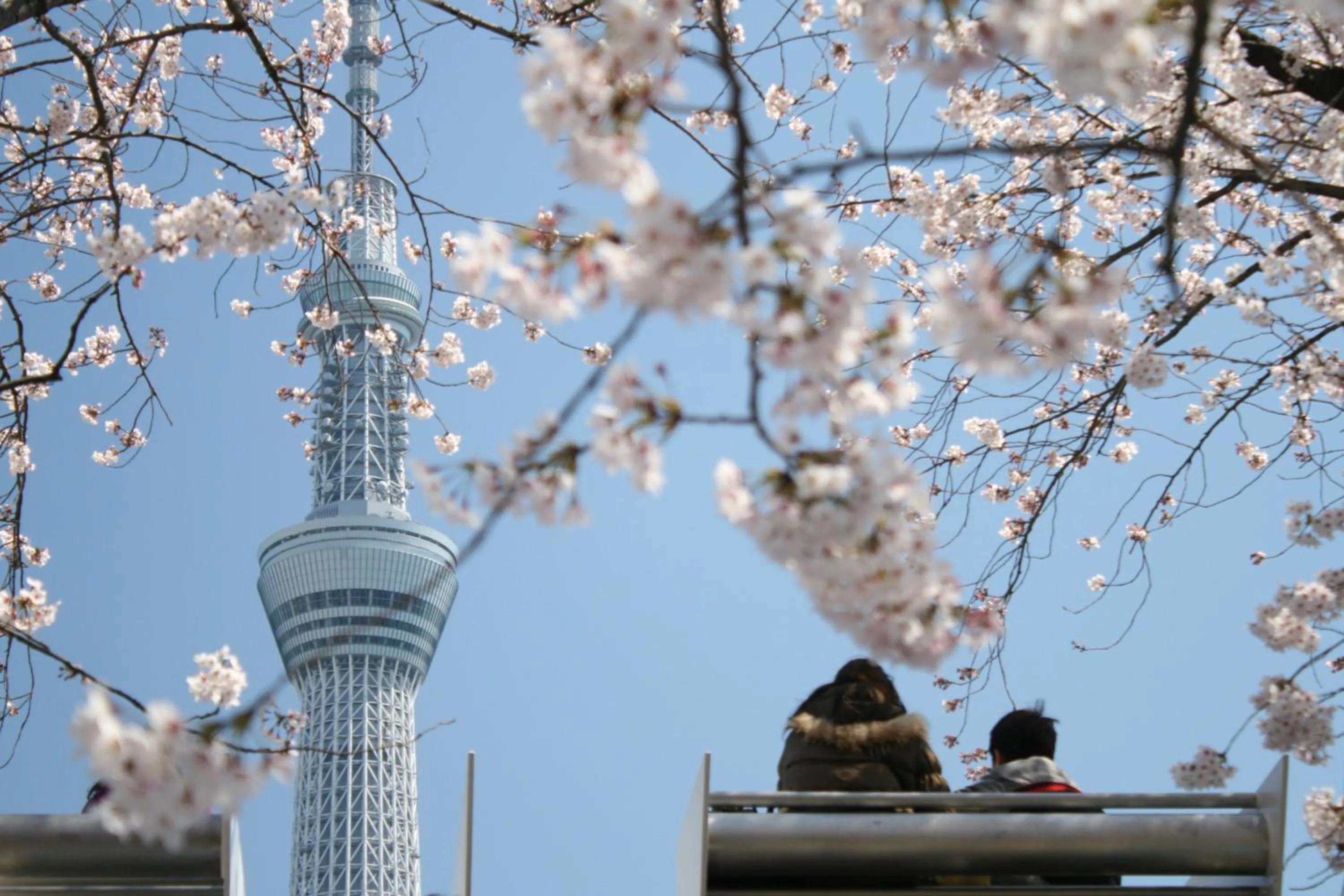 Nearby landmark in Prime Suites Tokyo