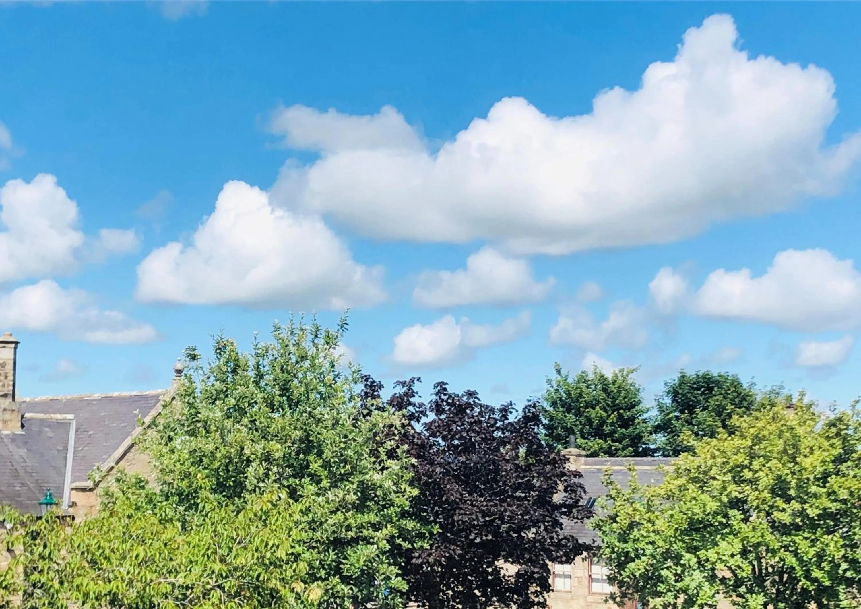 The Aberdeen Arms Hotel