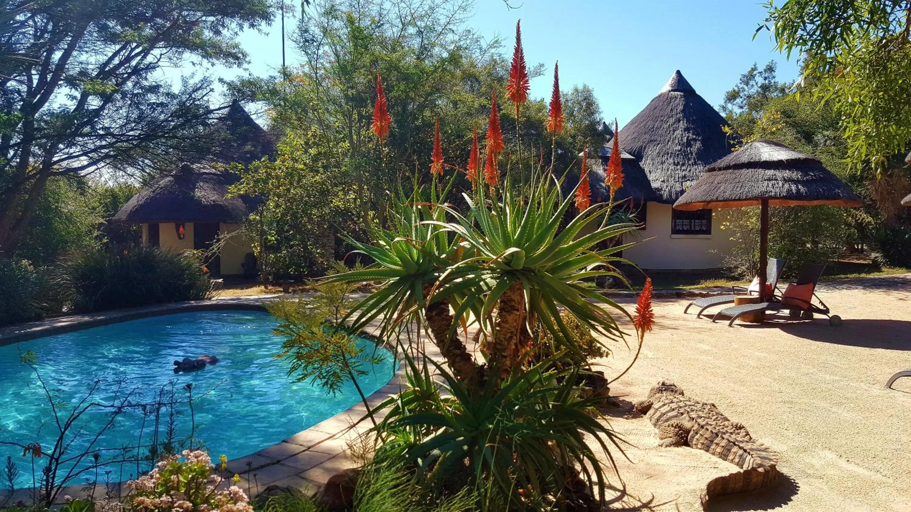 Beach in Aquanzi Lodge