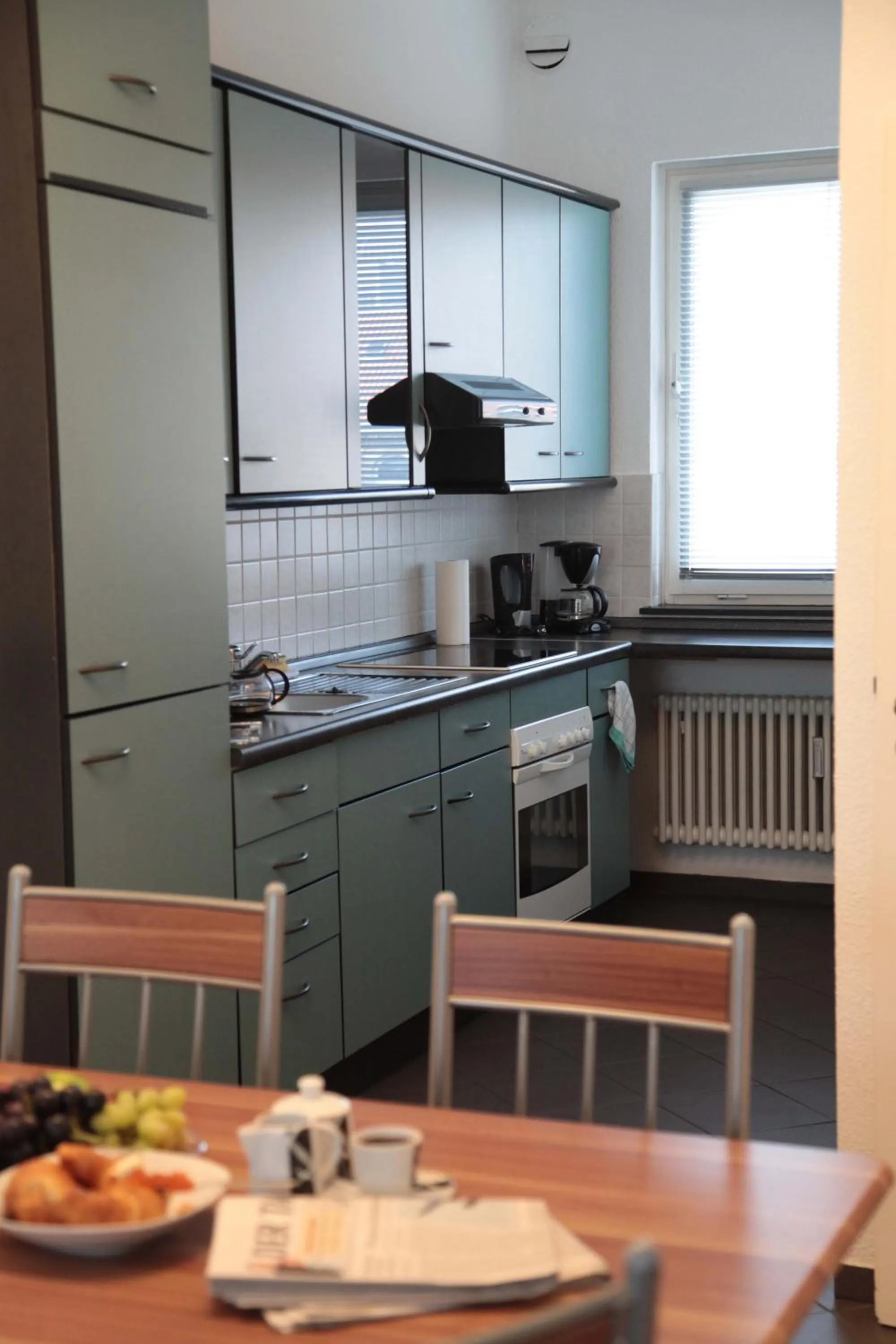 Kitchen or kitchenette in Aparthotel VEGA