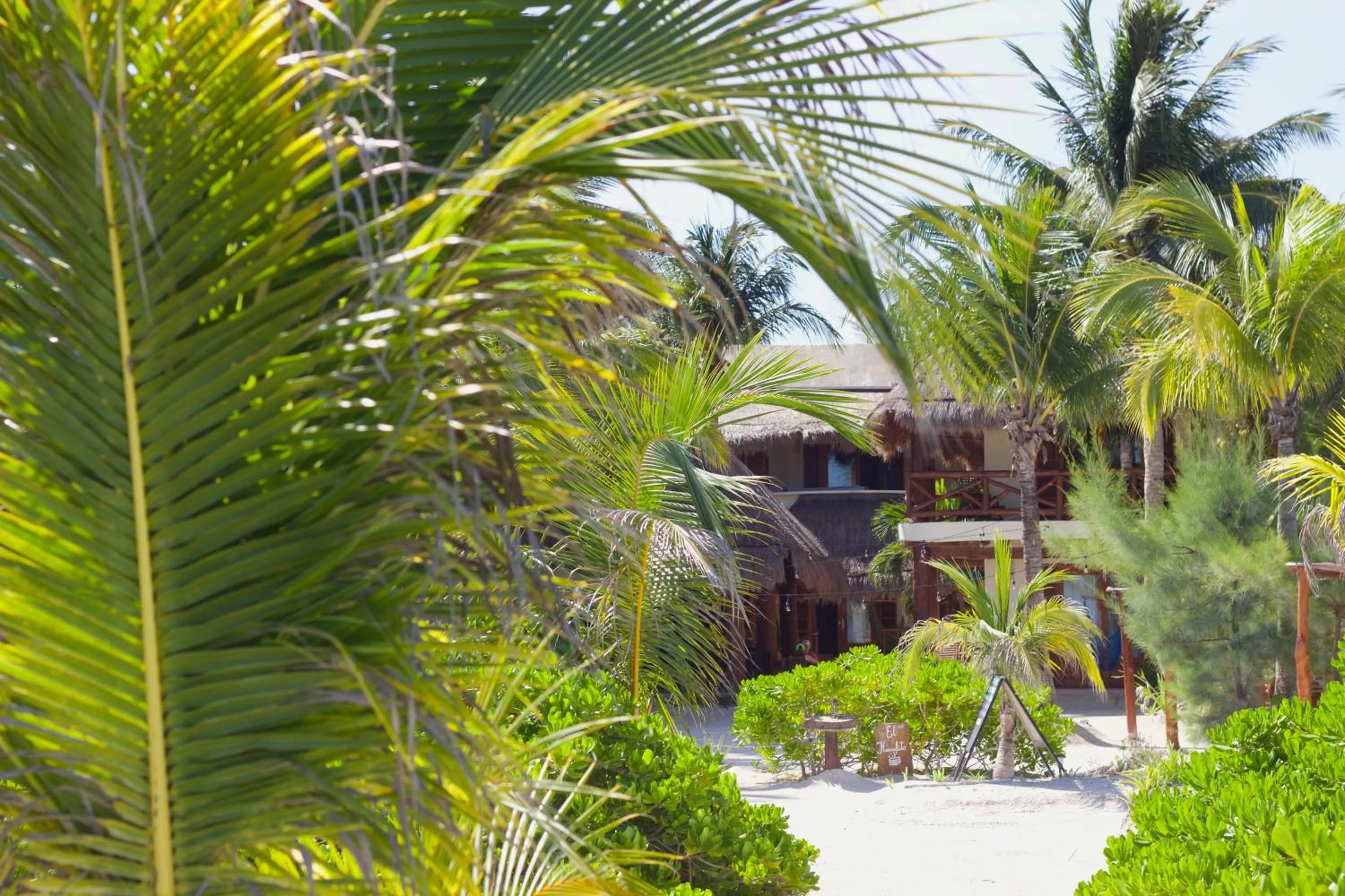 Garden in Casa Iguana Holbox - Beachfront Hotel