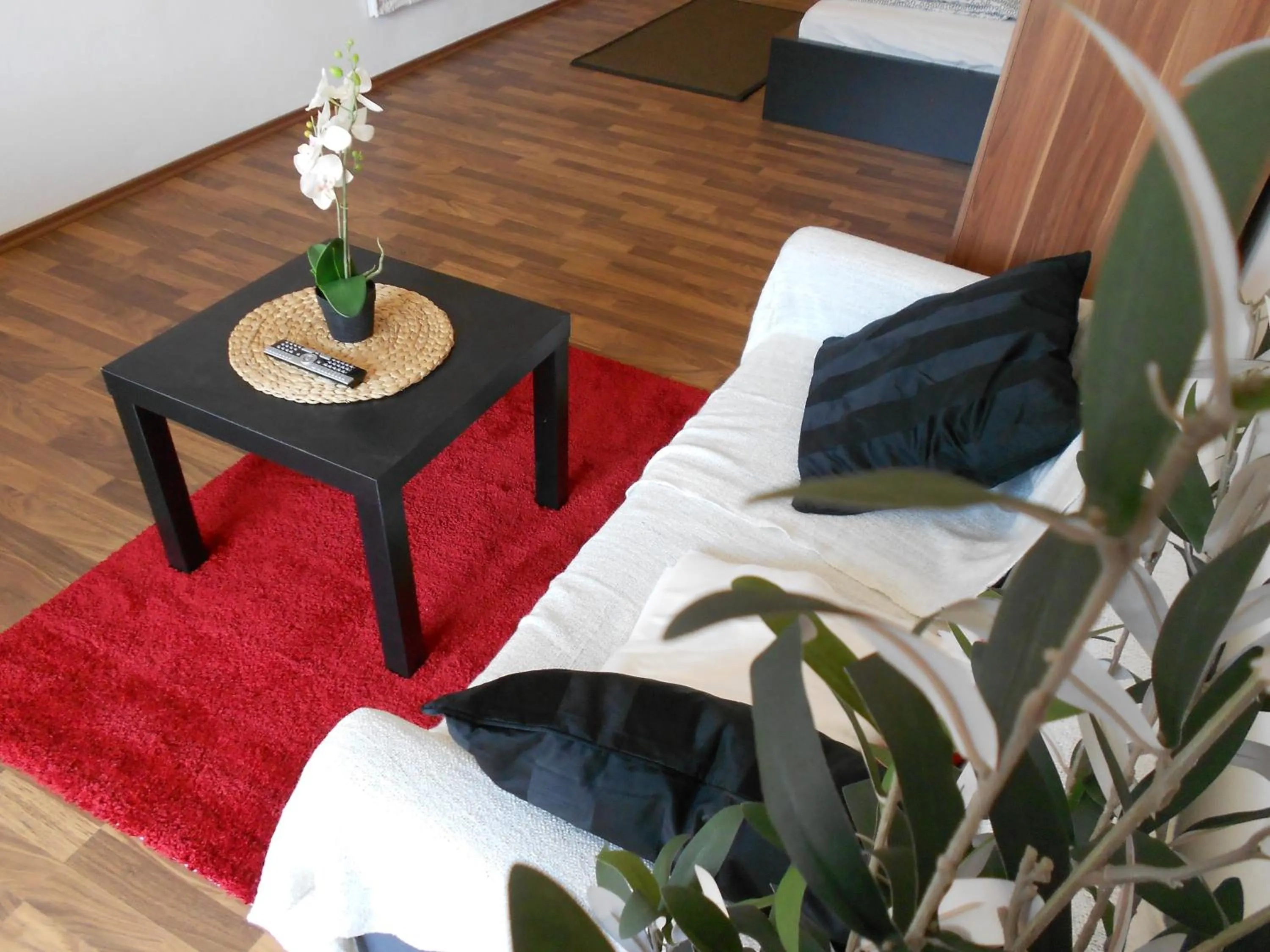 Living room in Apartment Beethoven