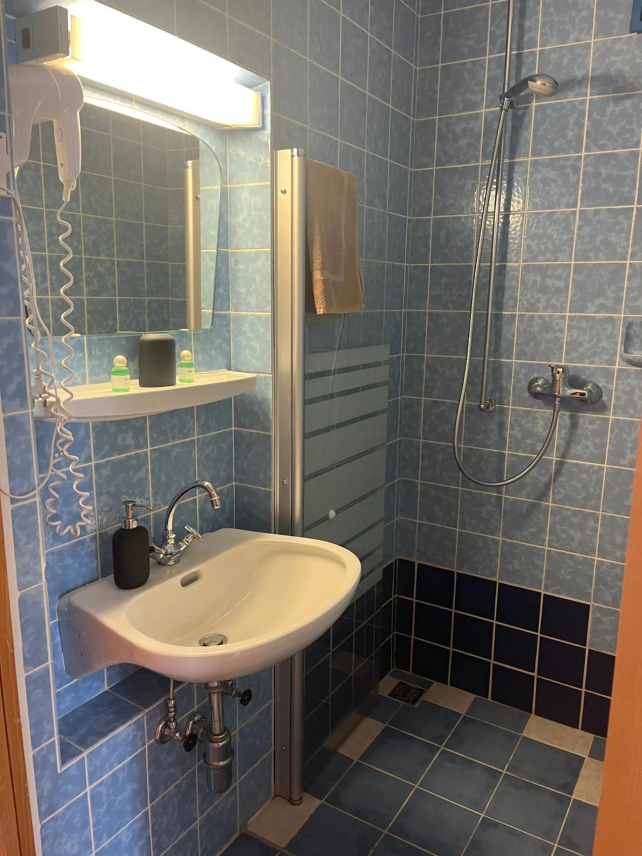 Bathroom in Berggasthof zur Todtnauer Hütte