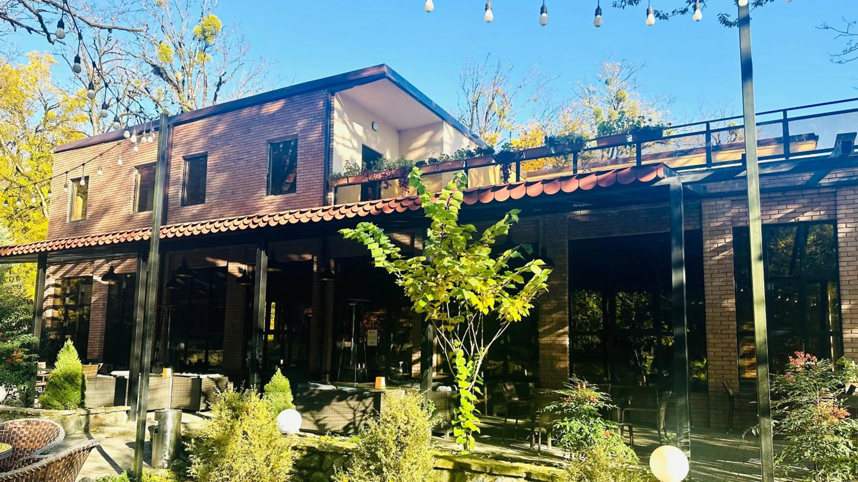 Wald Hotel Lagodekhi Rooms