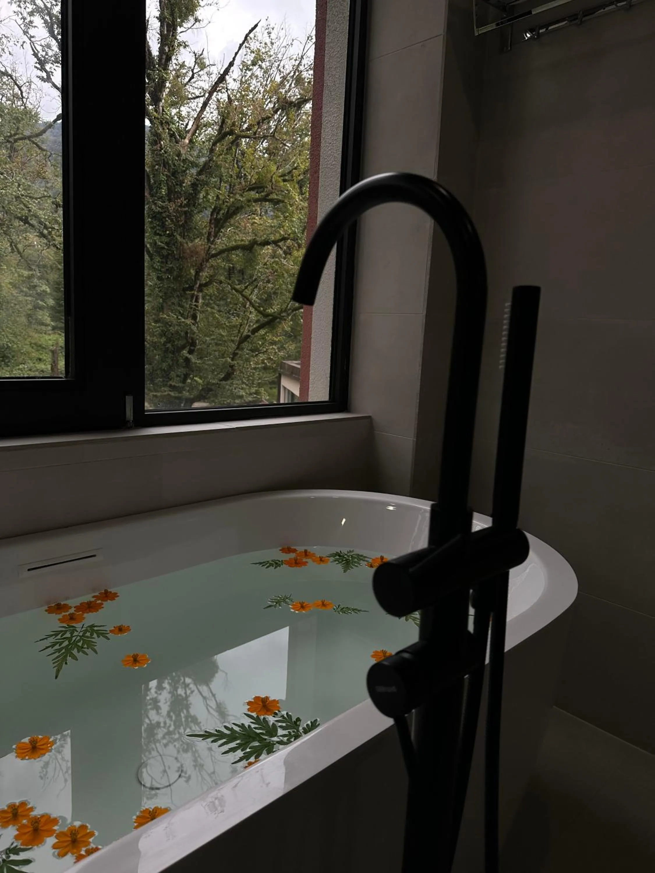 Wald Hotel Lagodekhi Rooms