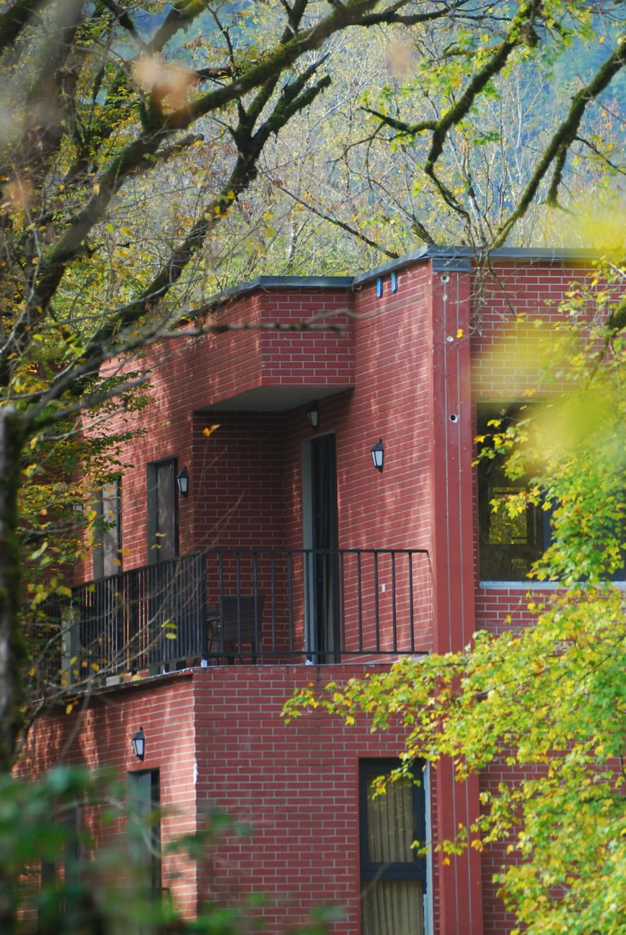 Wald Hotel Lagodekhi Rooms