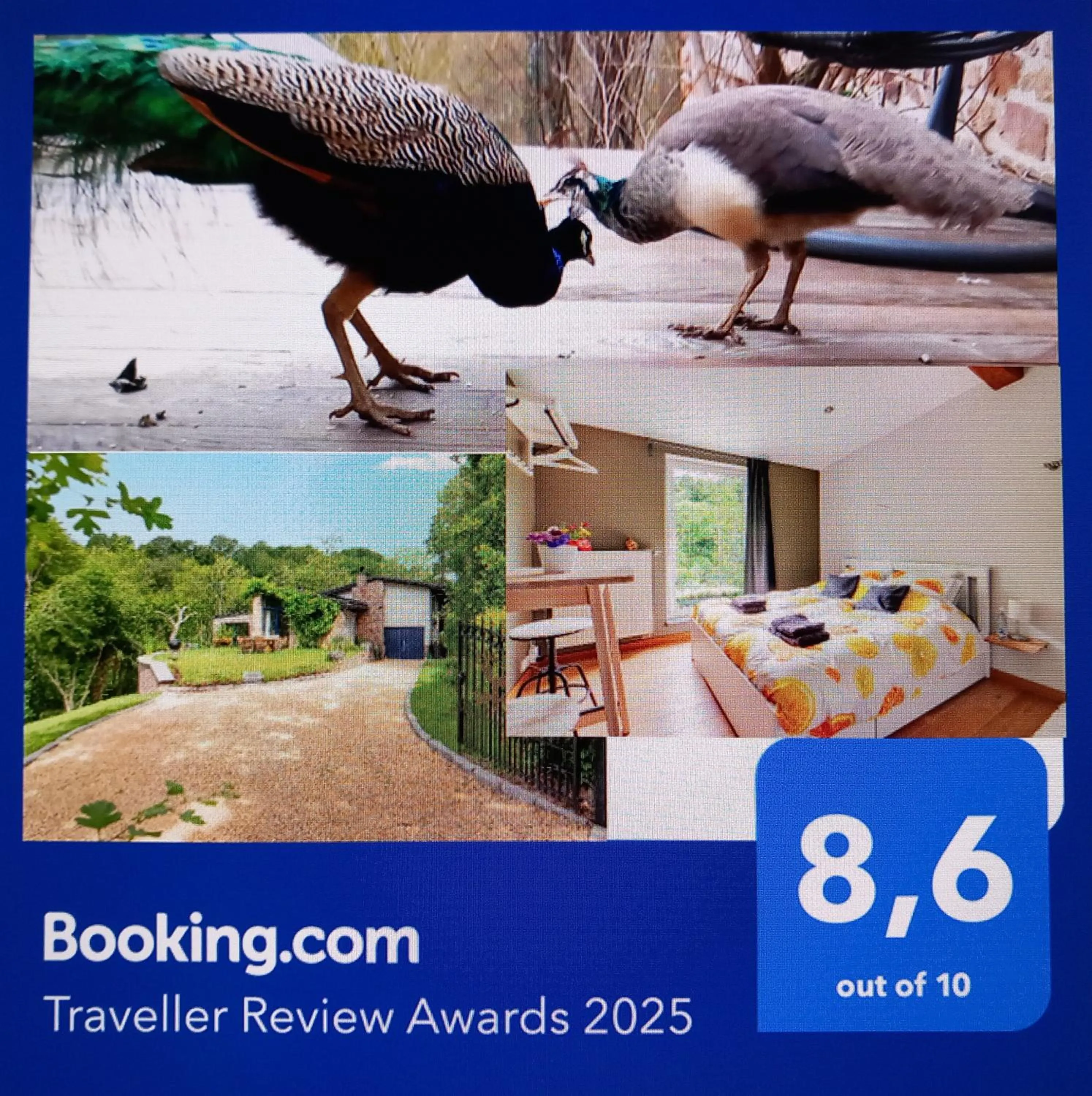 Property building in Chez Madame Irma