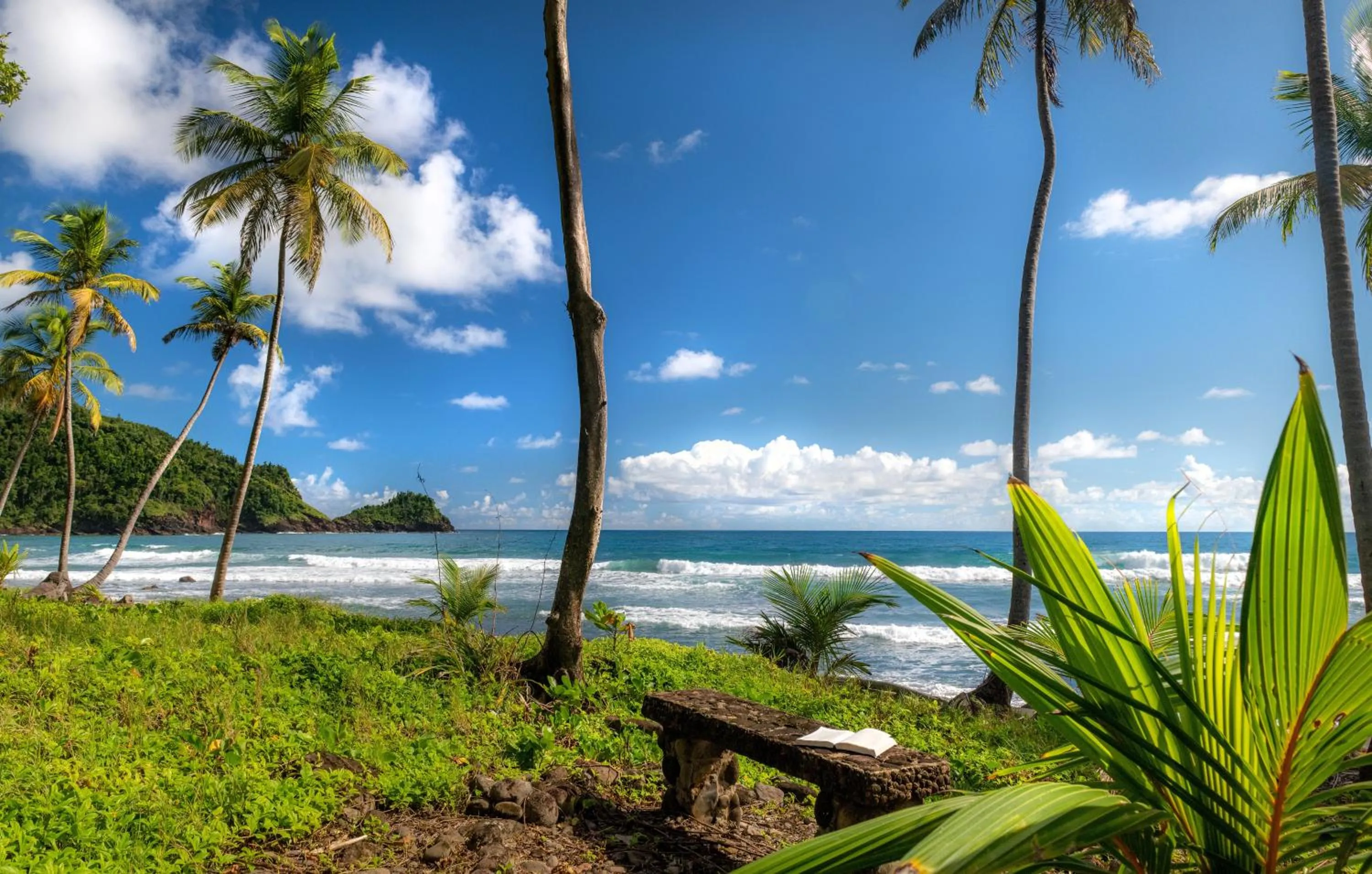 Natural landscape in Rosalie Bay Eco Resort & Spa