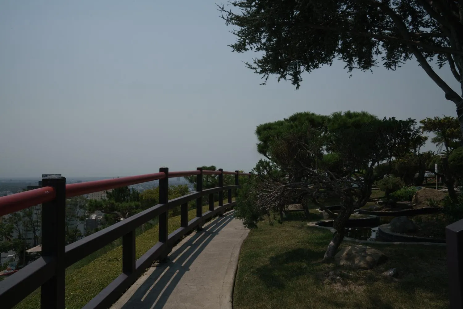 Garden in Hollywood Hills Hotel