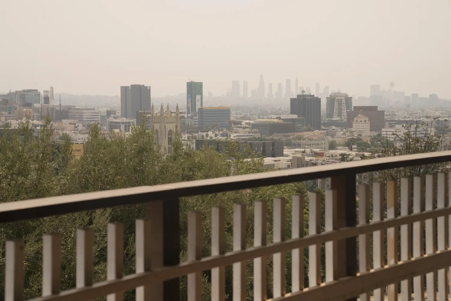 View (from property/room) in Hollywood Hills Hotel