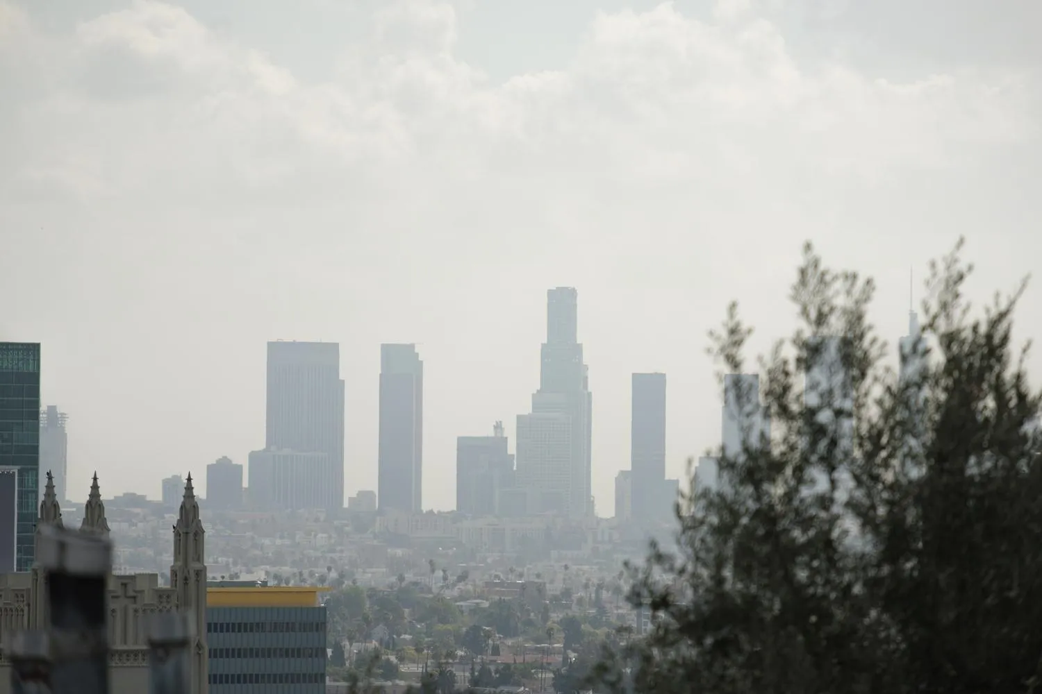 View (from property/room) in Hollywood Hills Hotel