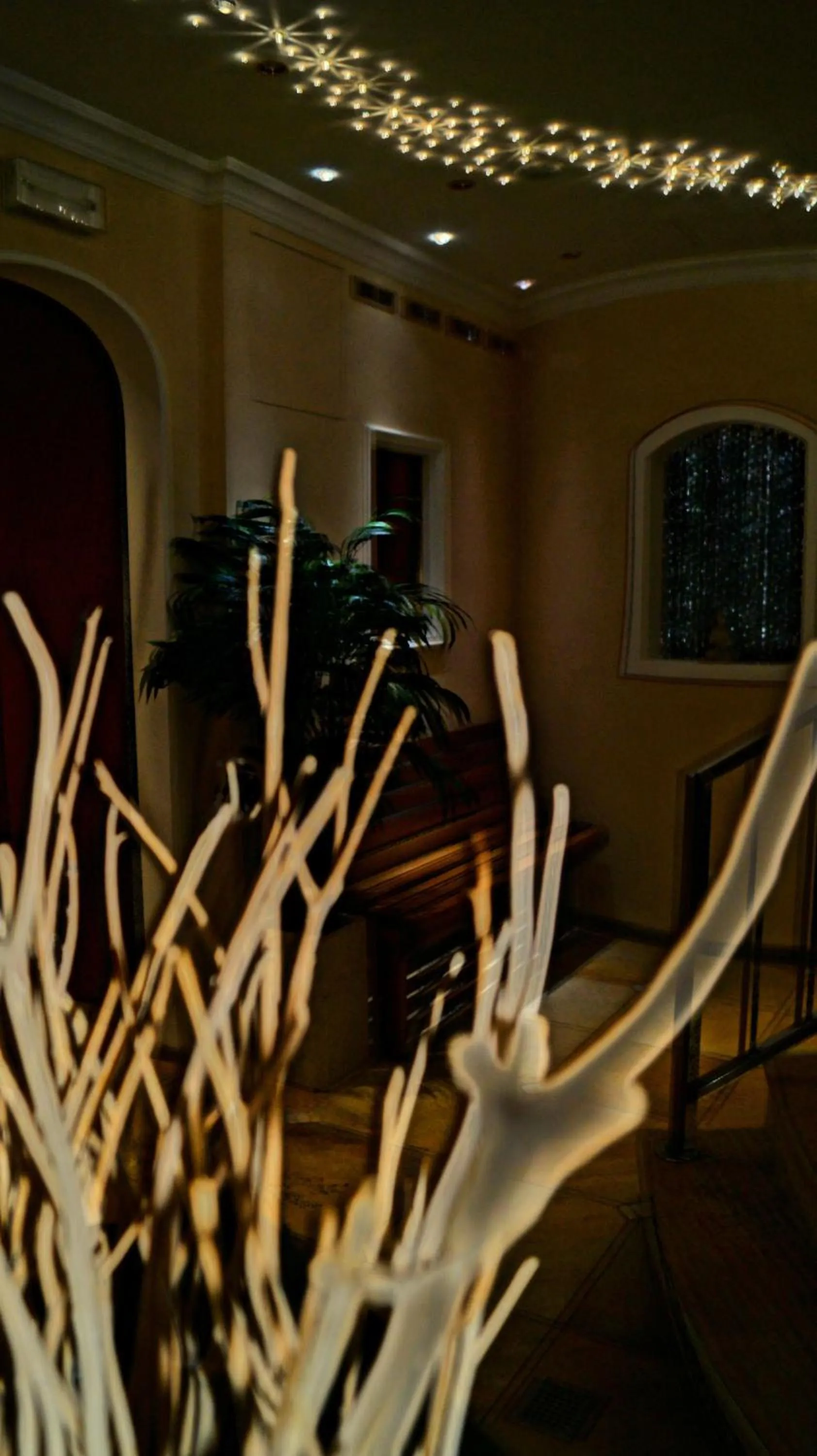 Decorative detail in Villa Anina