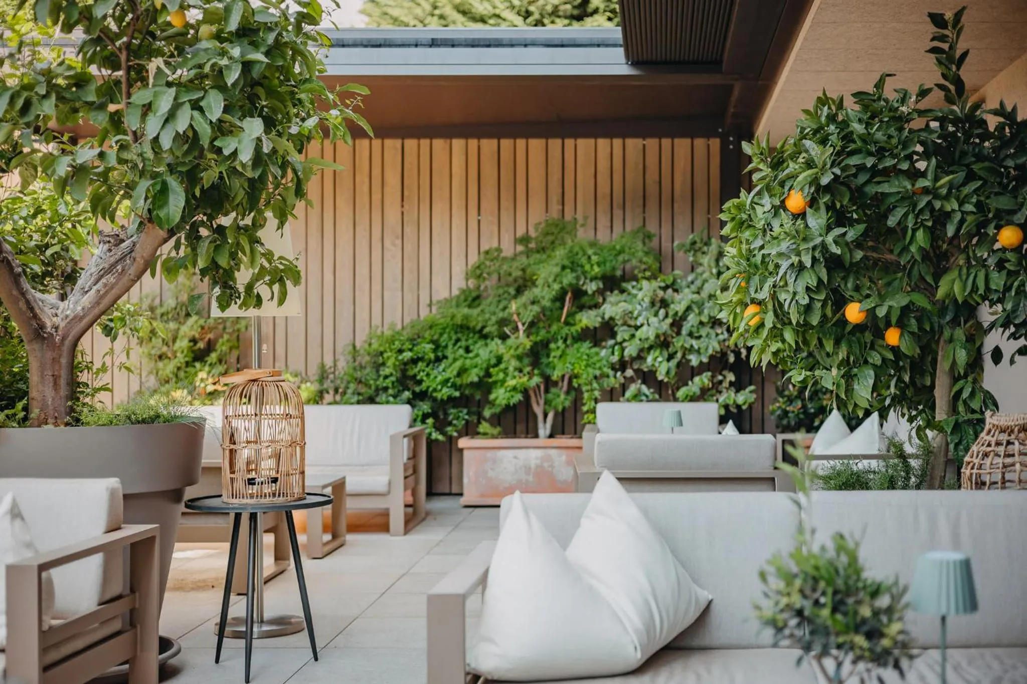 Garden in Hotel Lisetta