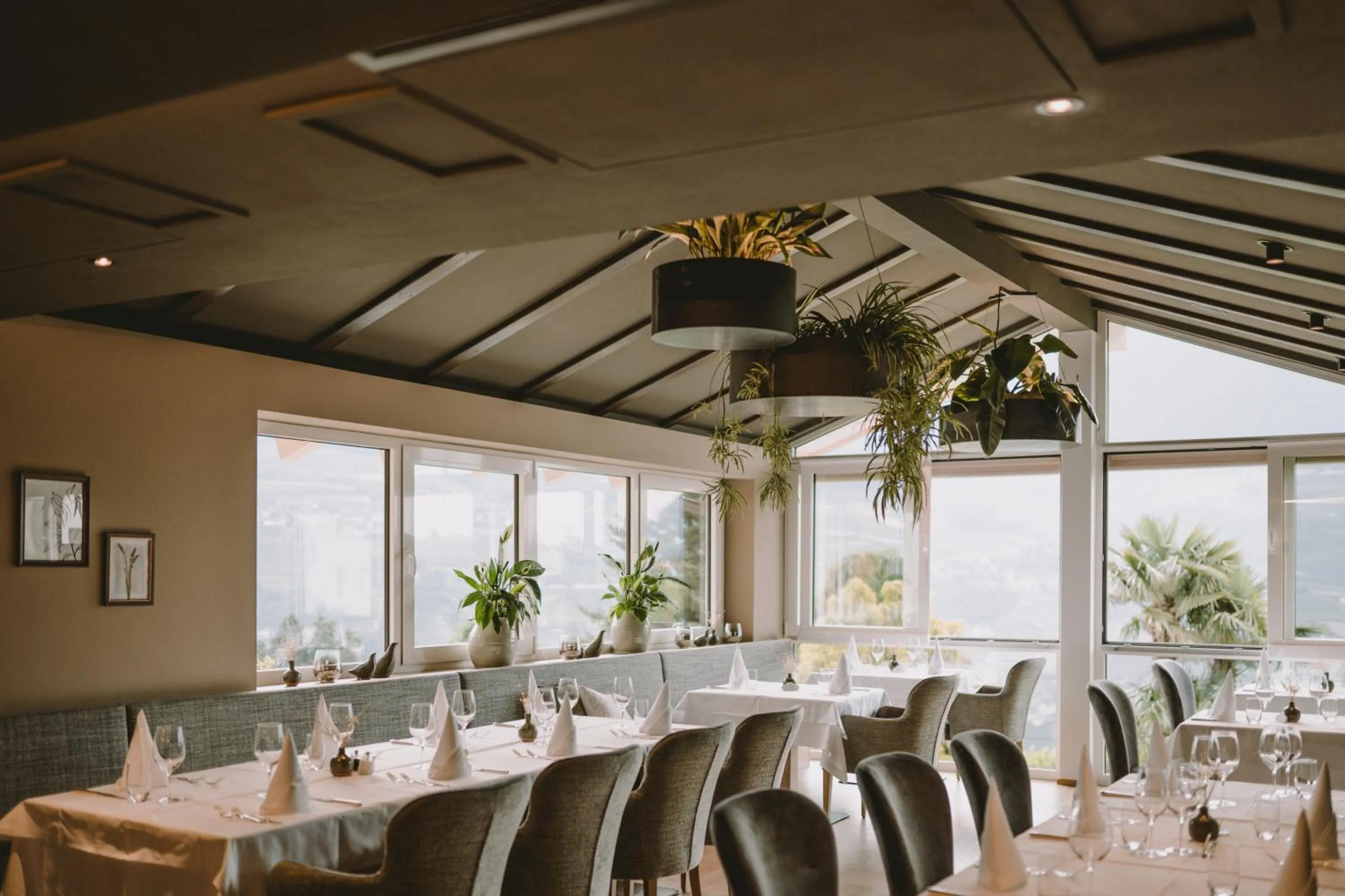 Restaurant/places to eat in Hotel Lisetta
