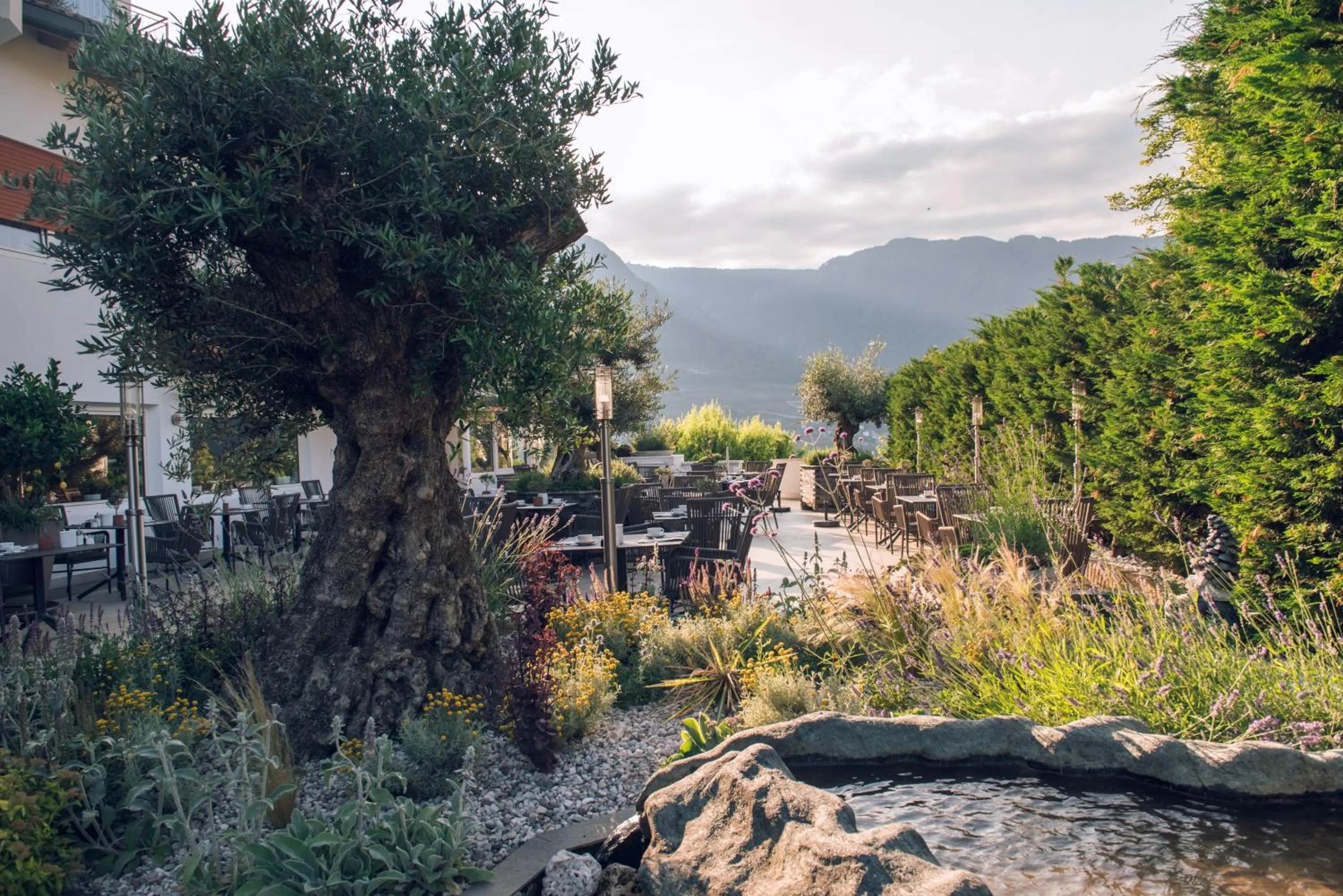 Garden in Hotel Lisetta