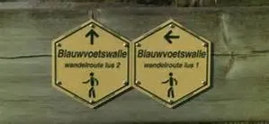 Sports in B&B 't Withuis